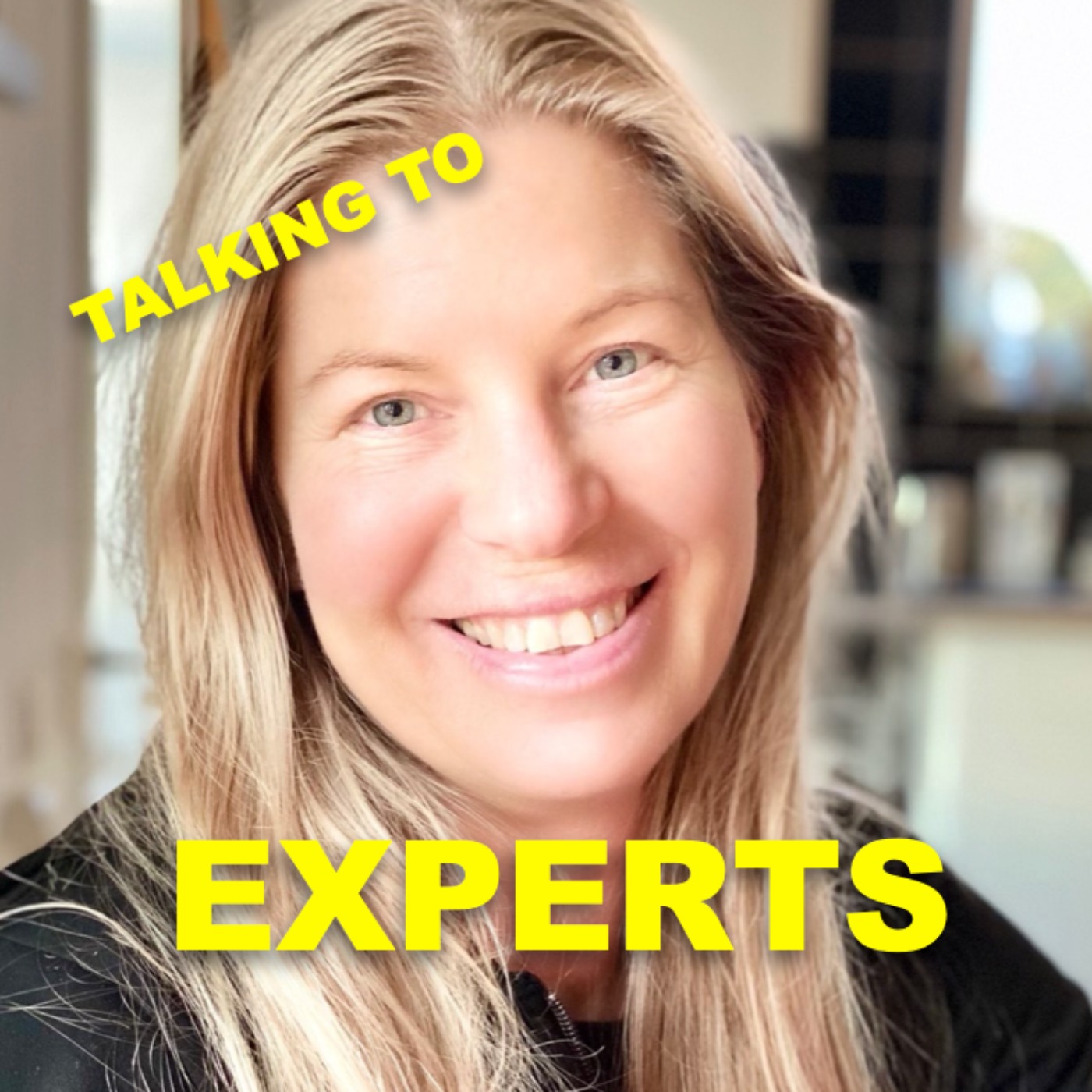 Talking to Experts