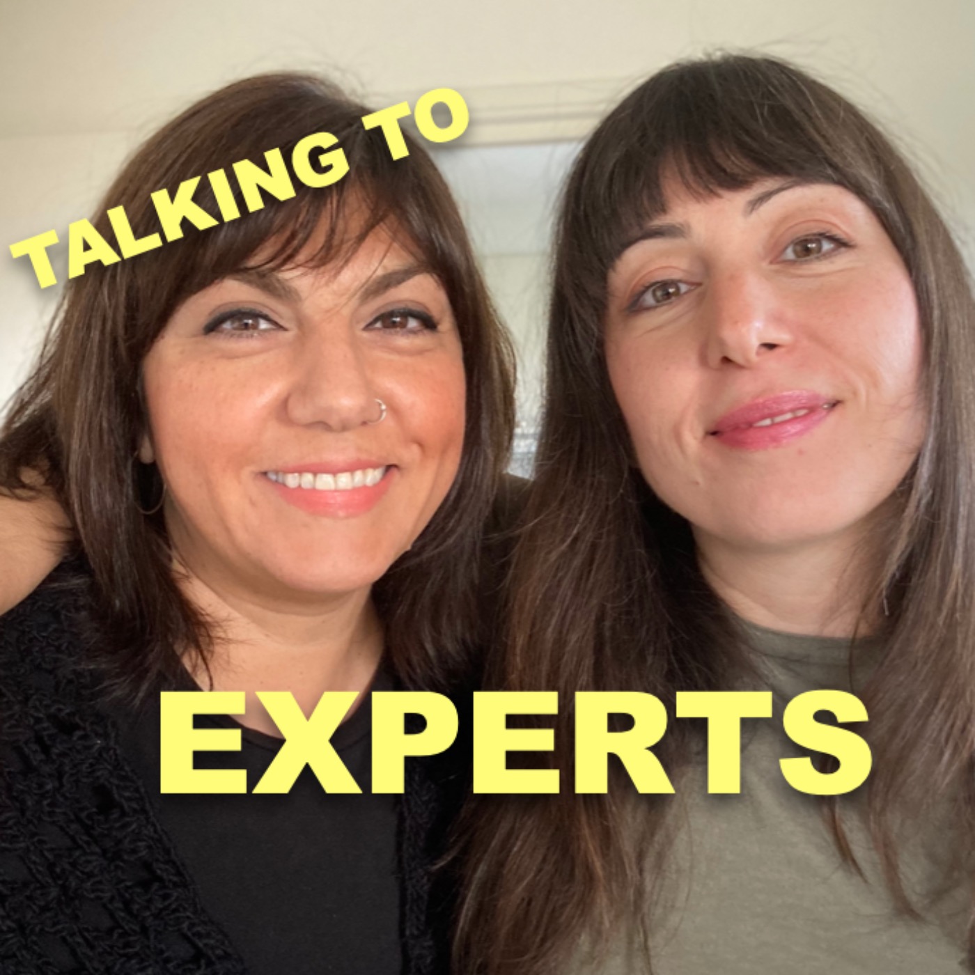 Talking to Experts