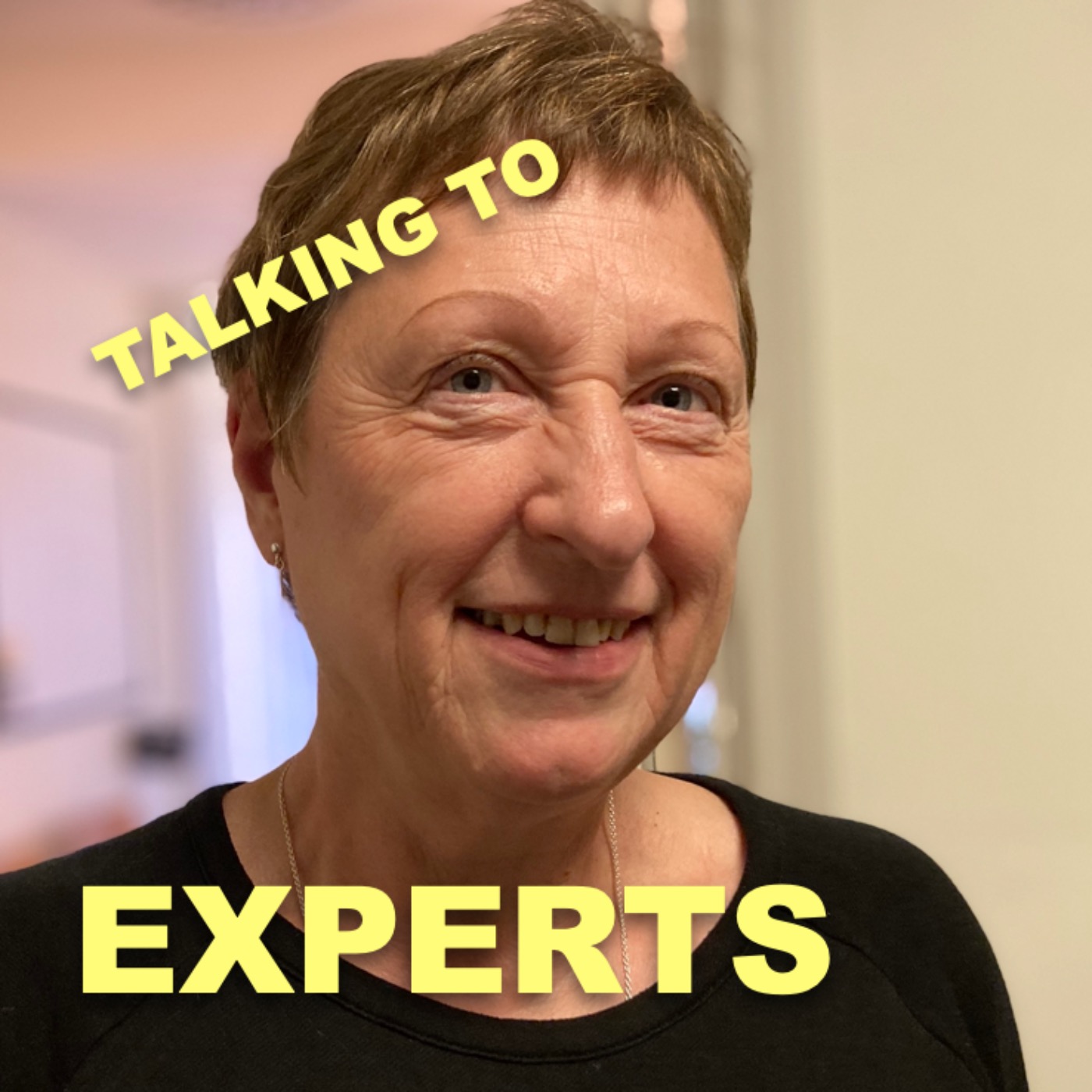 Talking to Experts