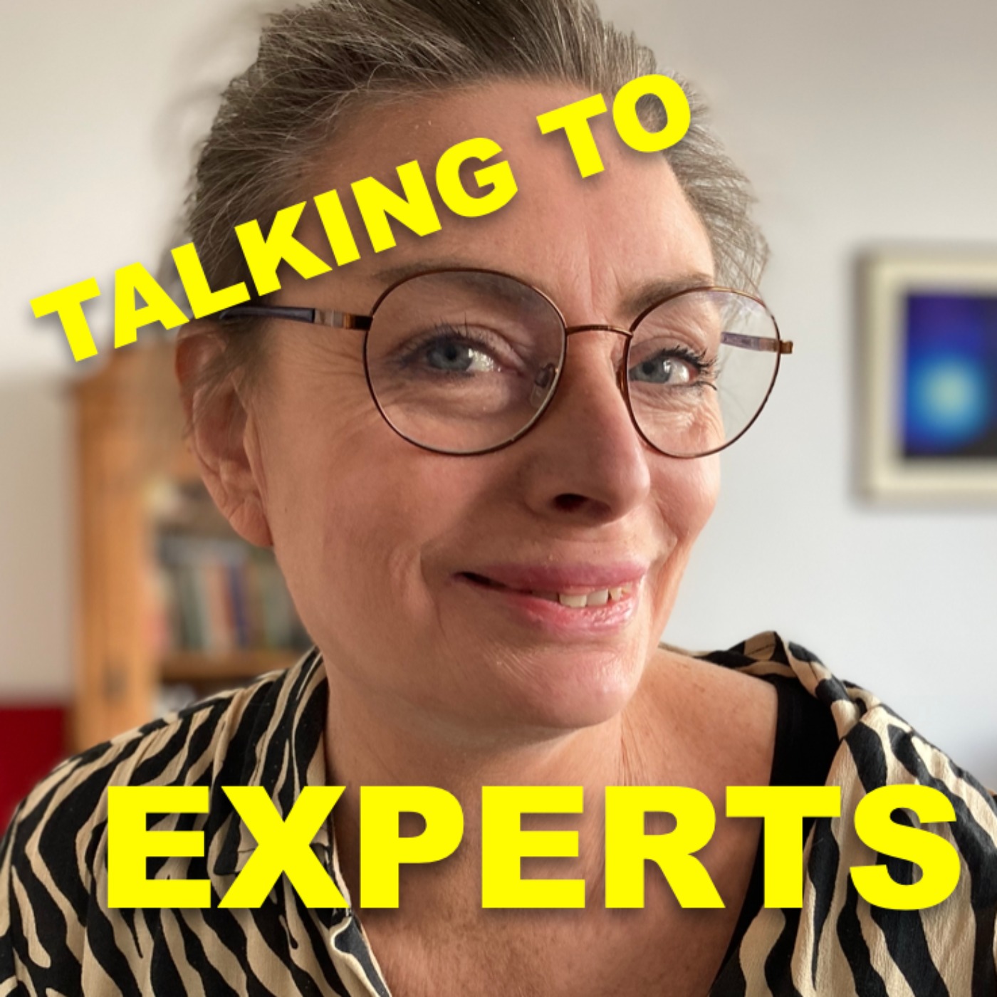 Talking to Experts