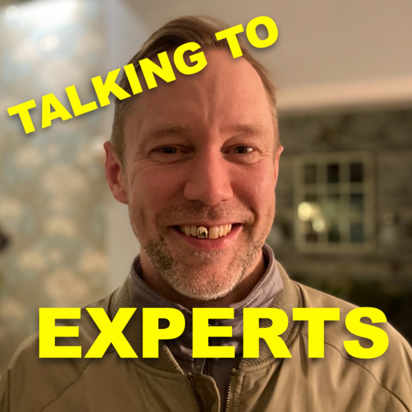 Talking to Experts