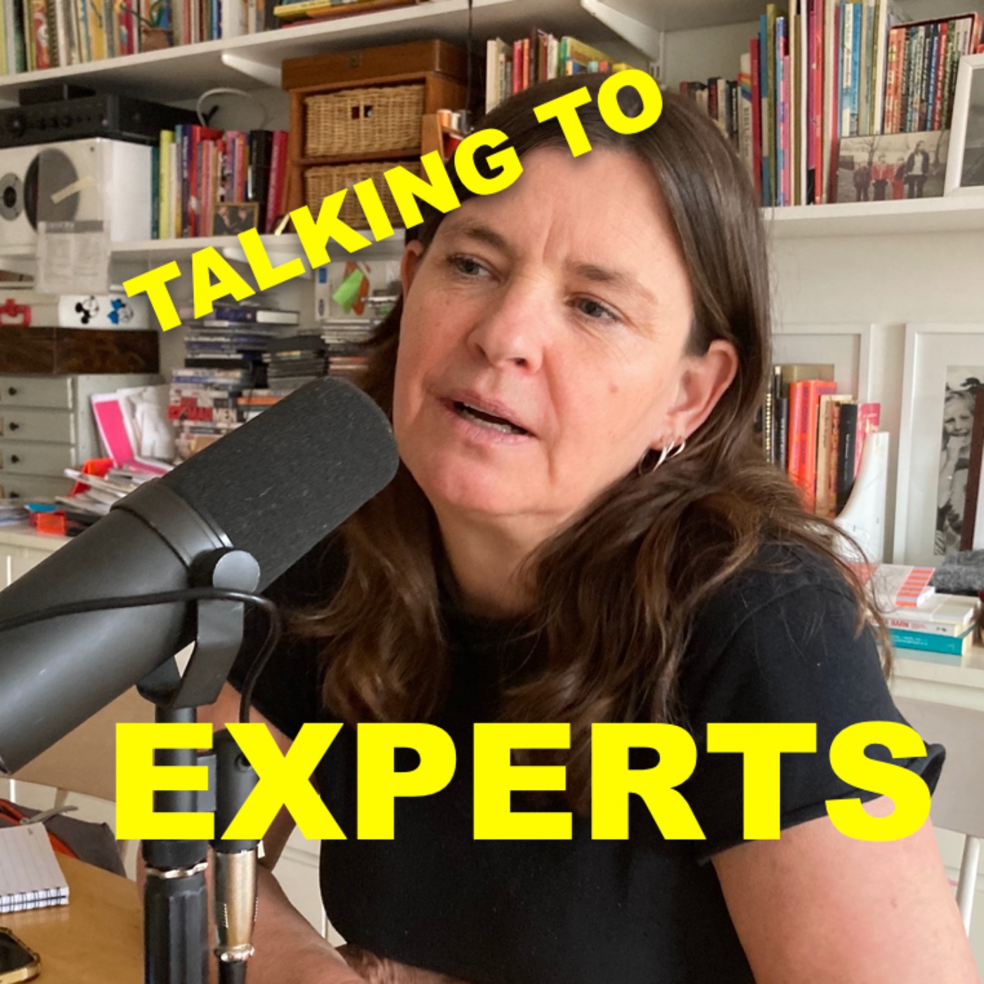 Talking to Experts