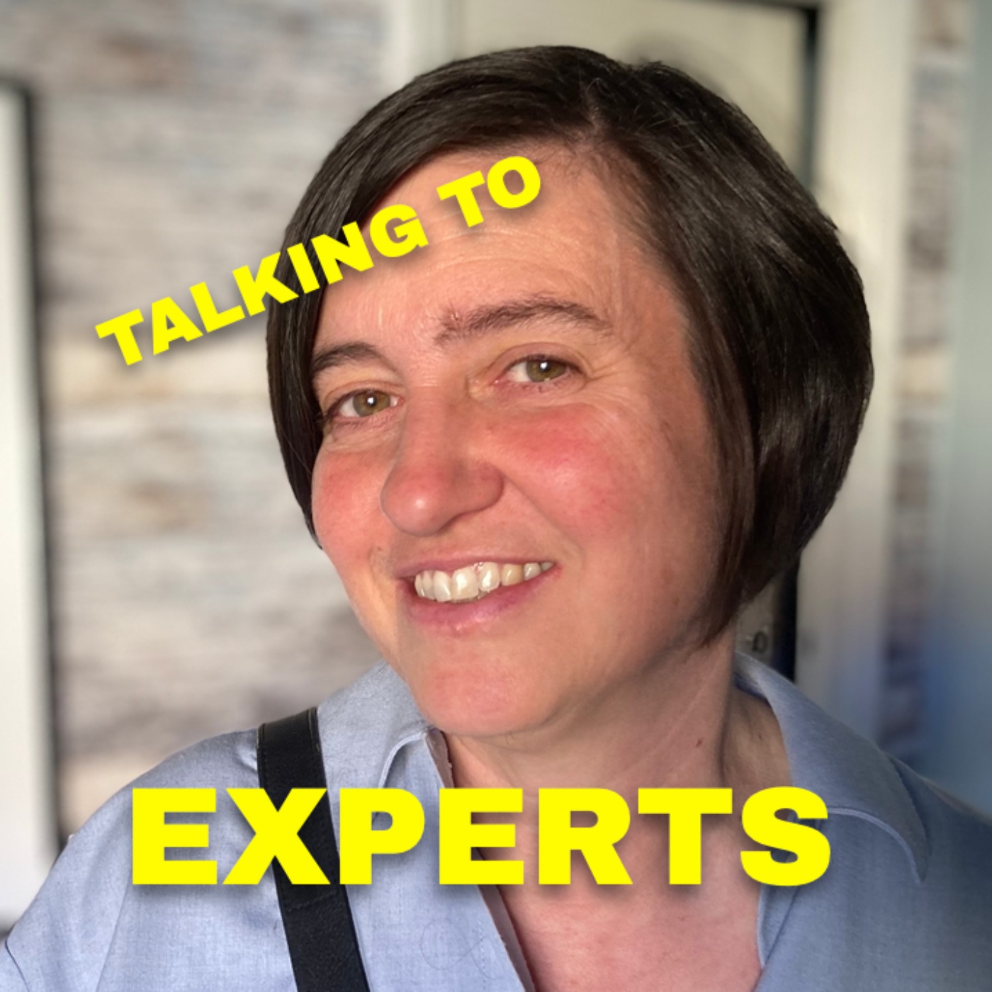 Talking to Experts