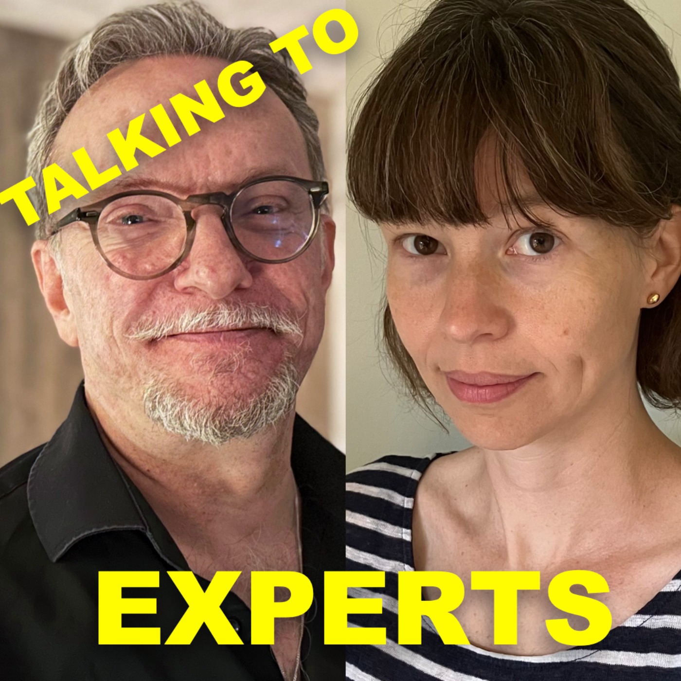 Talking to Experts