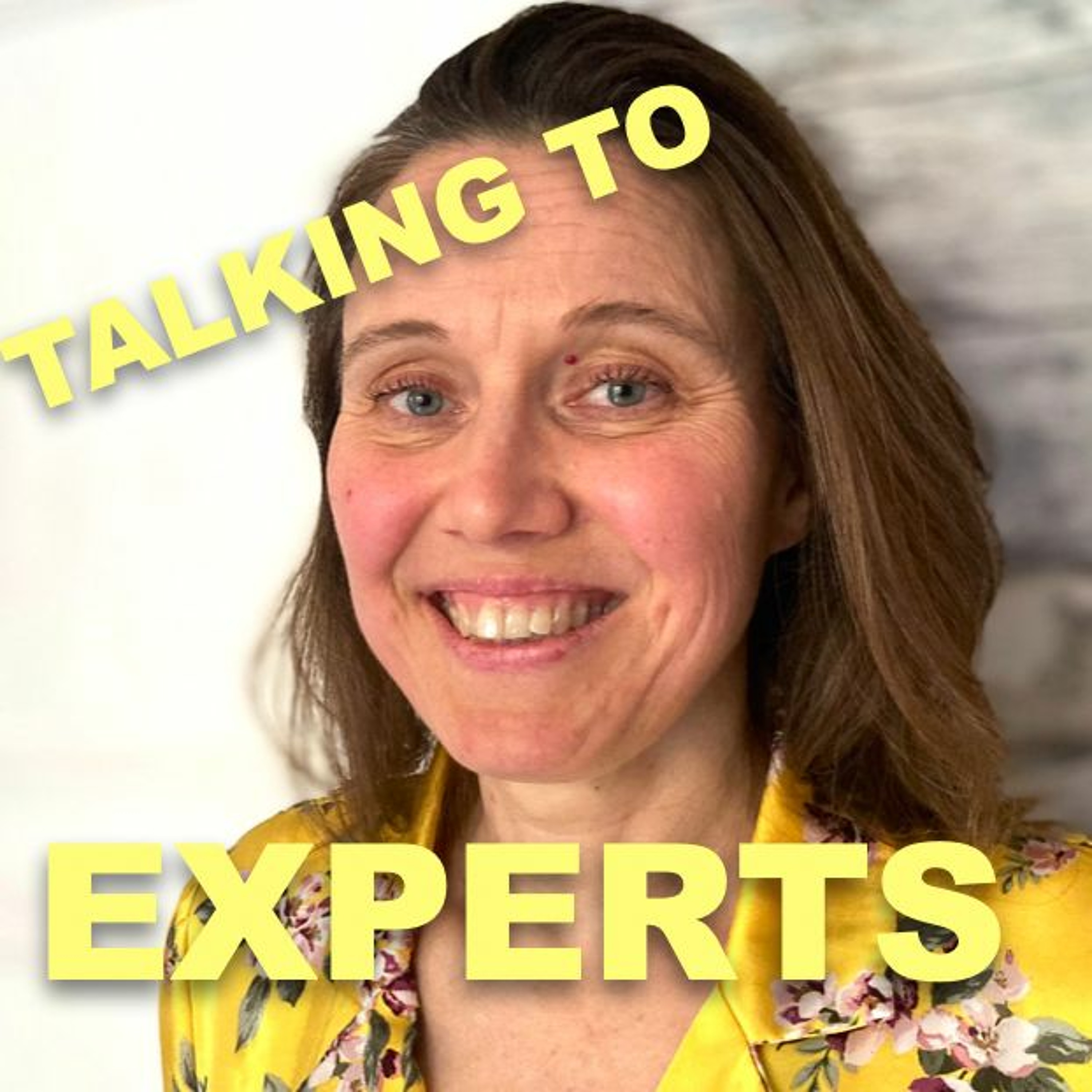 Talking to Experts