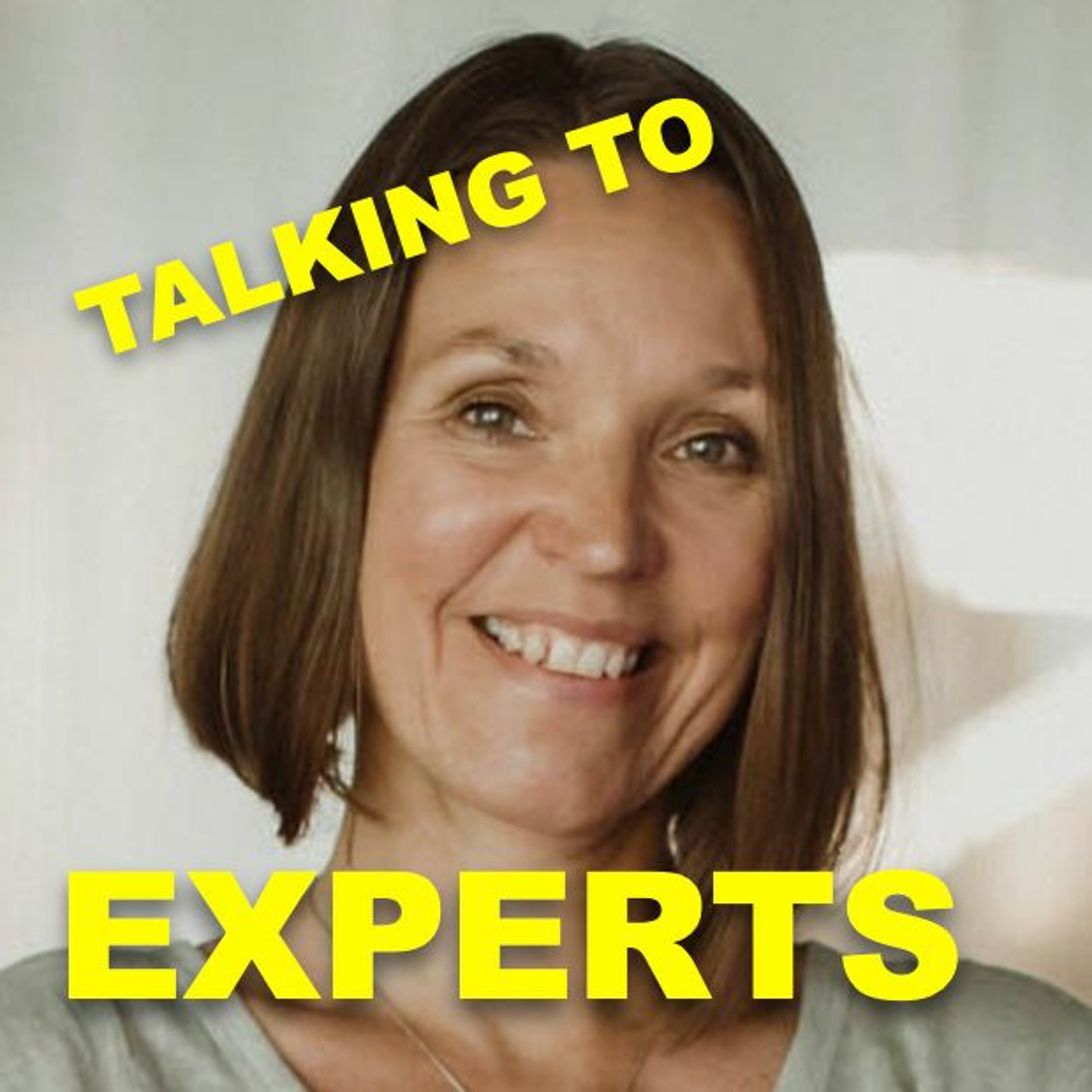 Talking to Experts