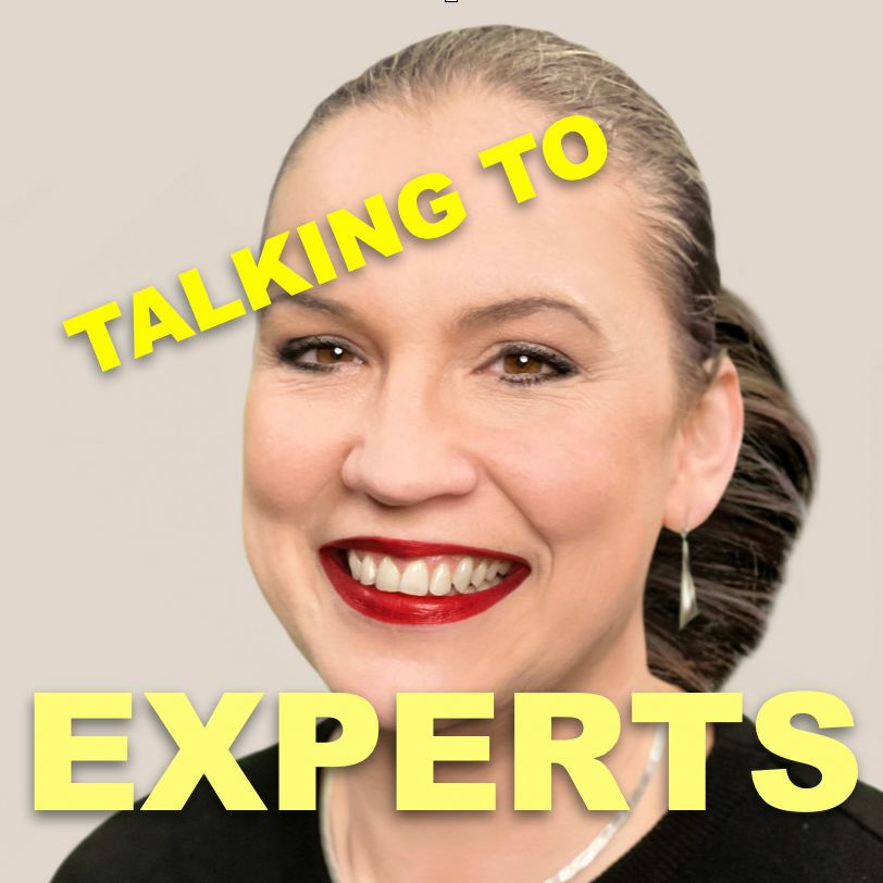 Talking to Experts