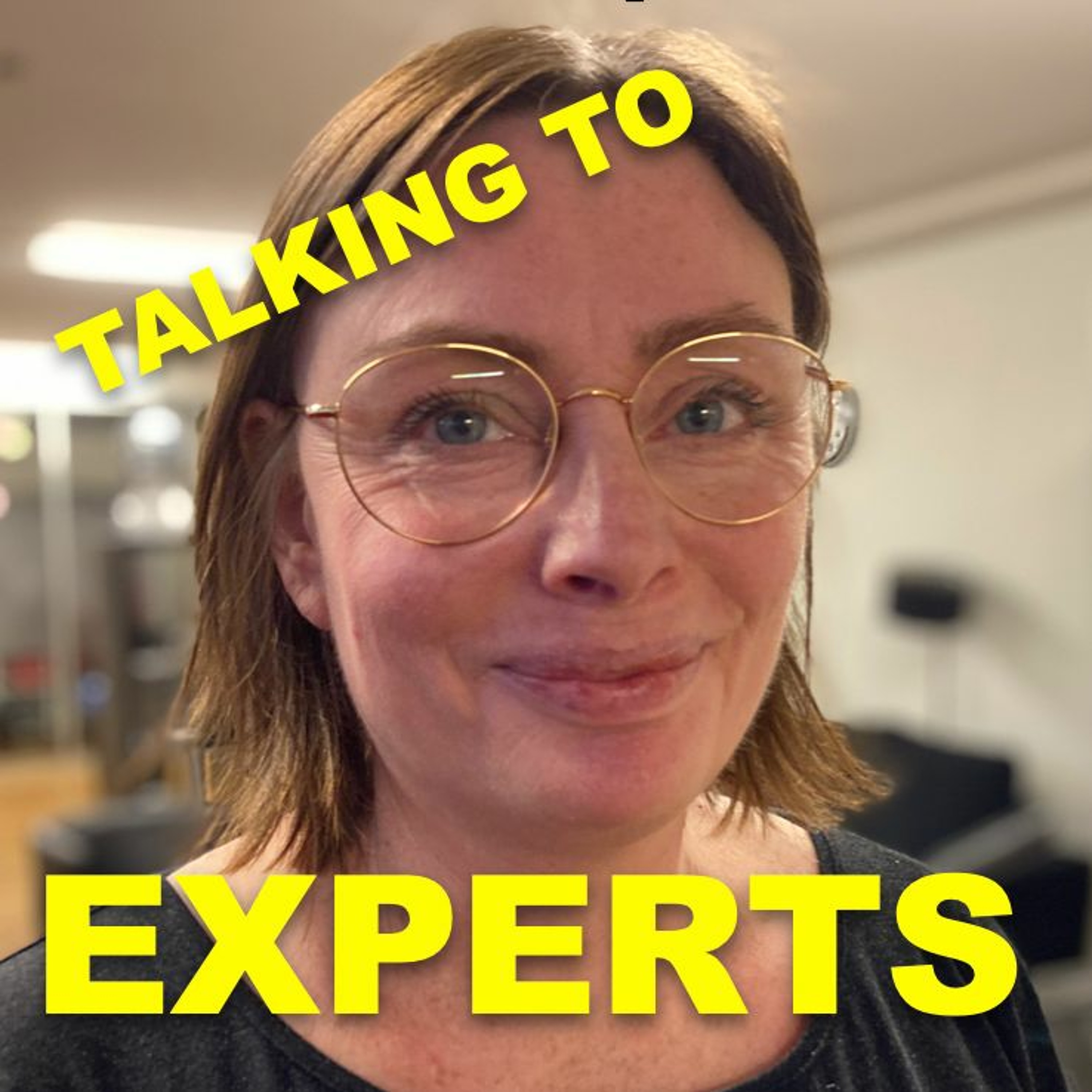 Talking to Experts