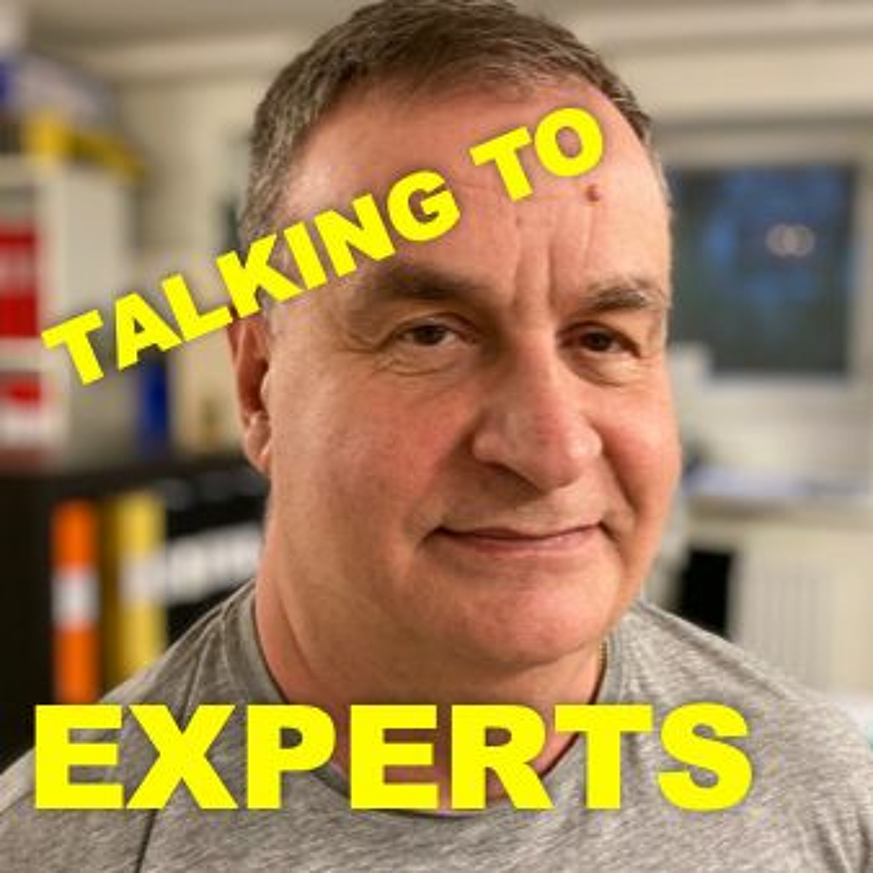 Talking to Experts