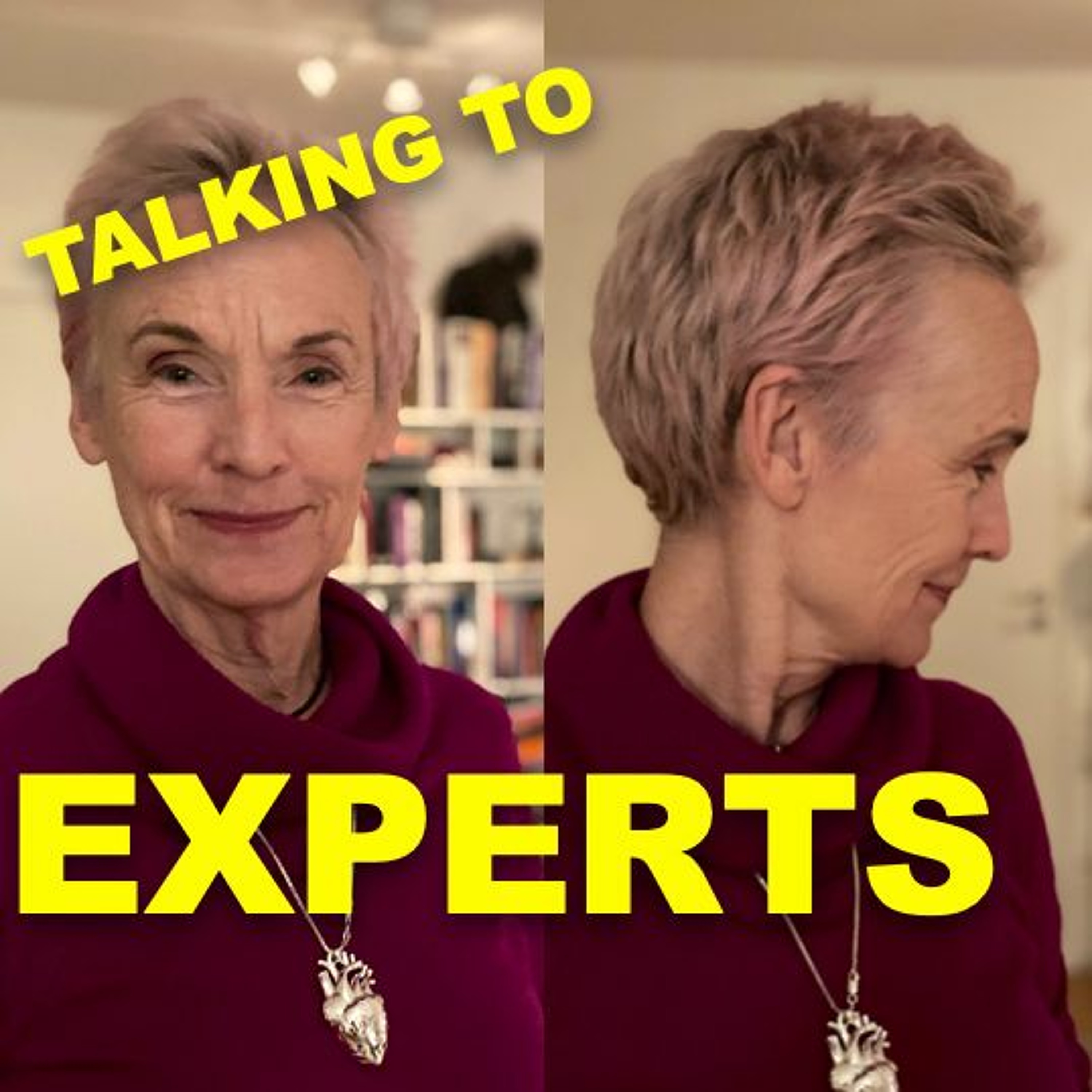 Talking to Experts