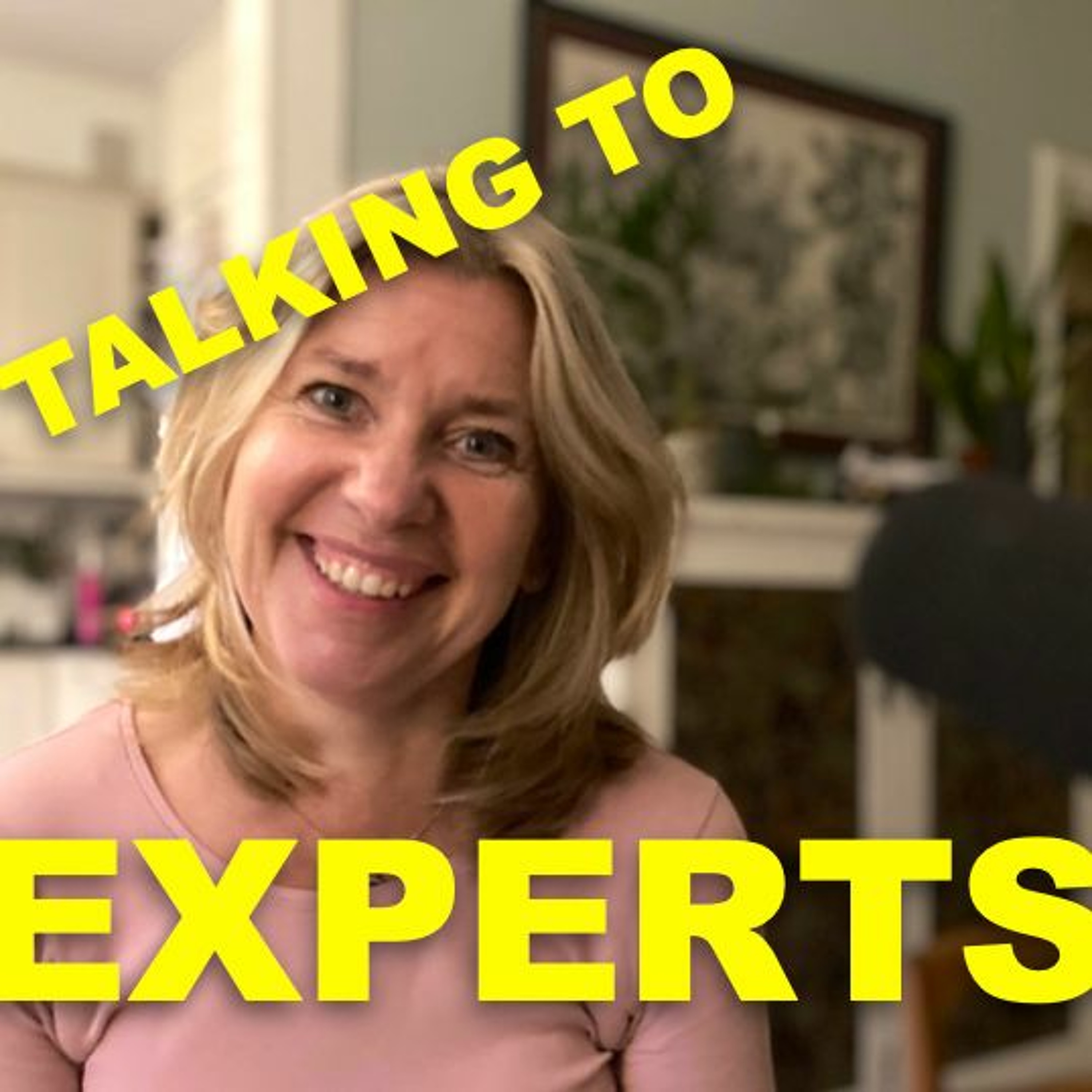 Talking to Experts