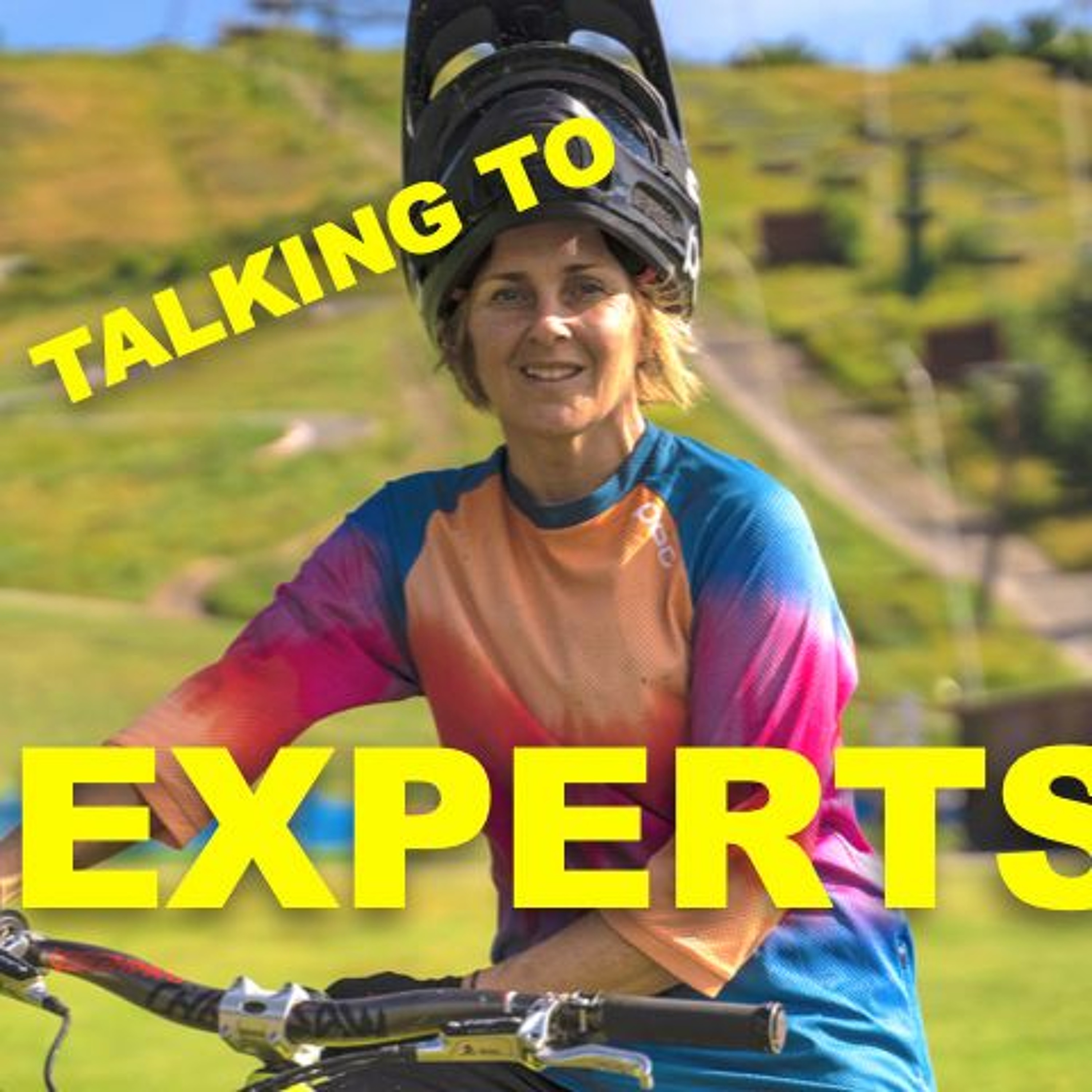Talking to Experts