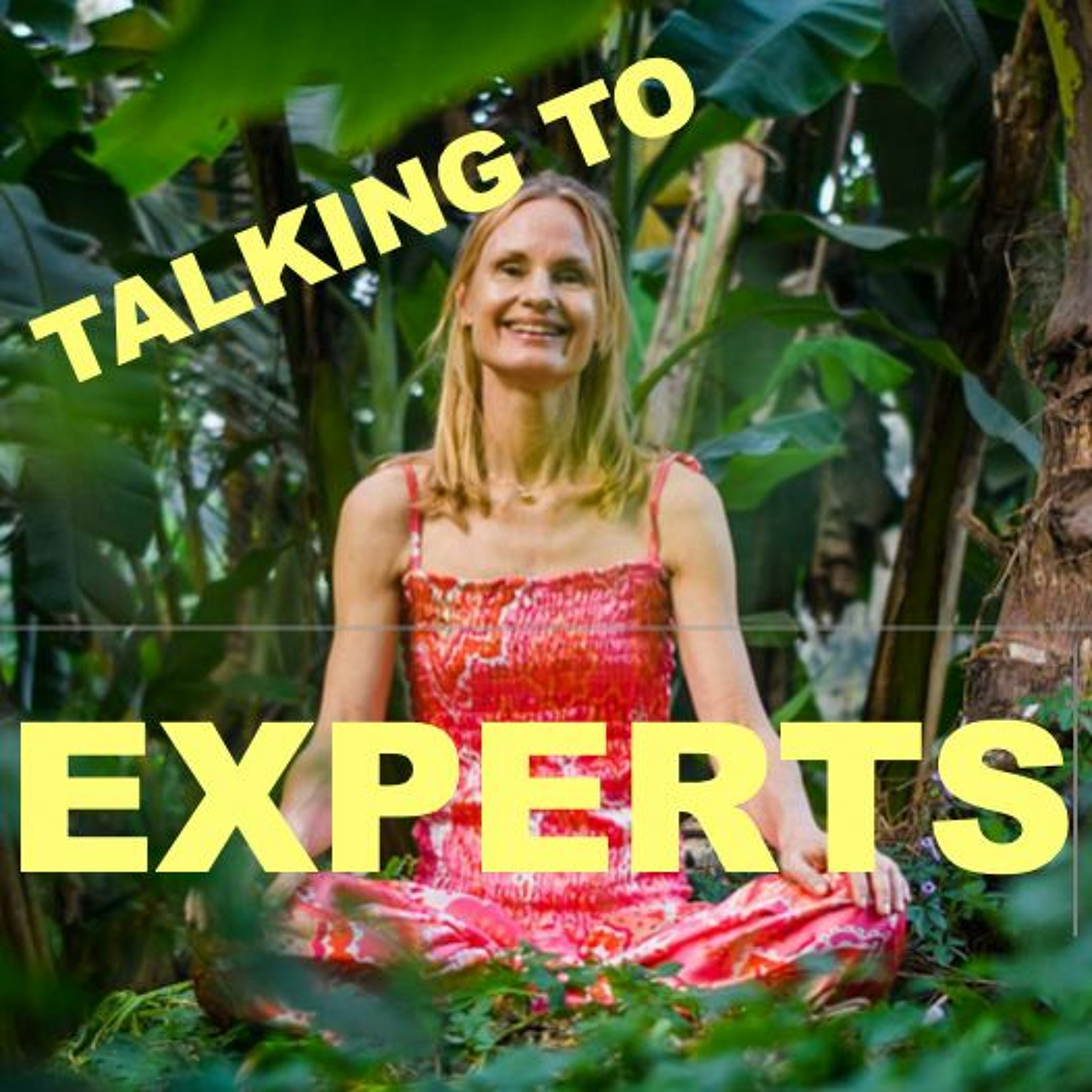 Talking to Experts