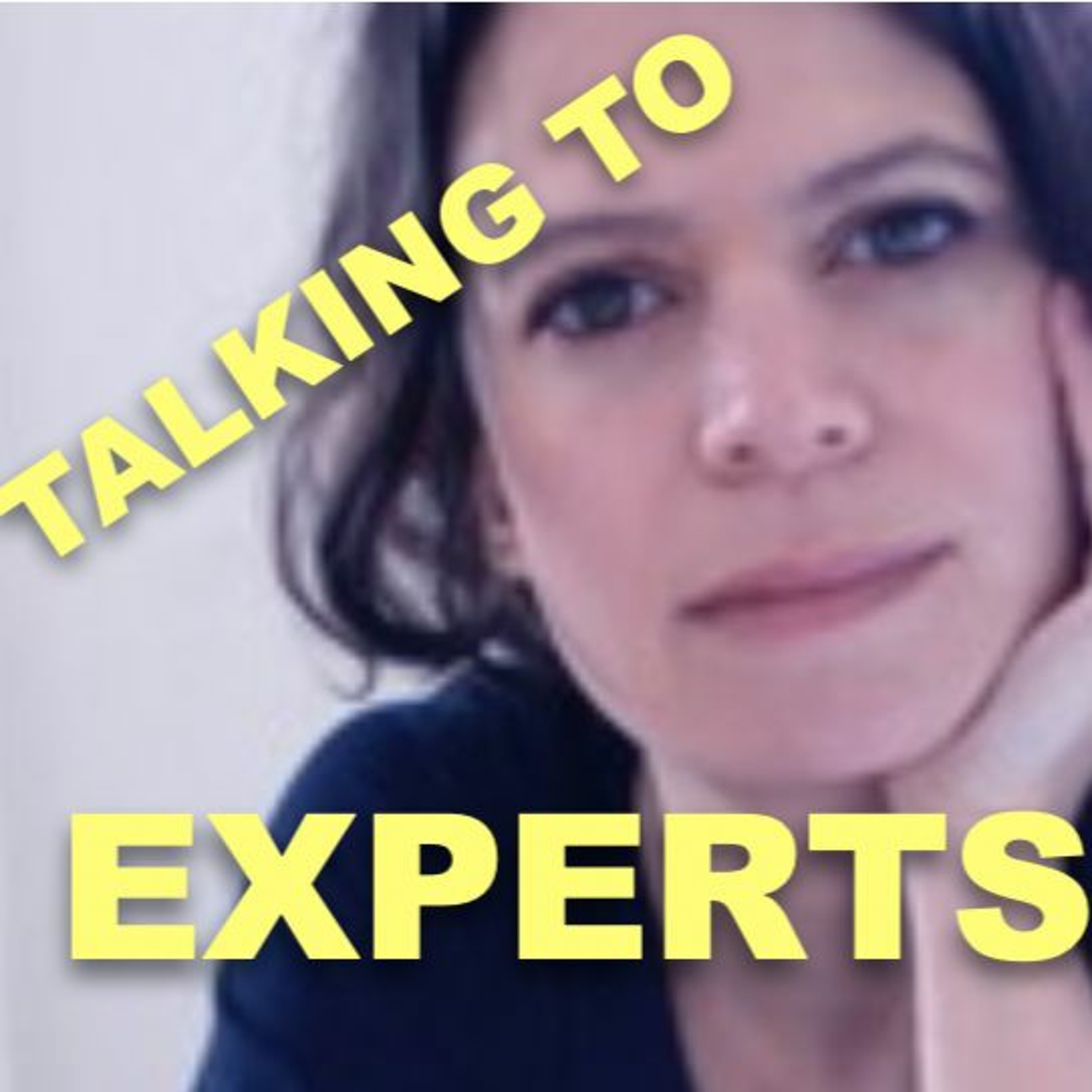 Talking to Experts