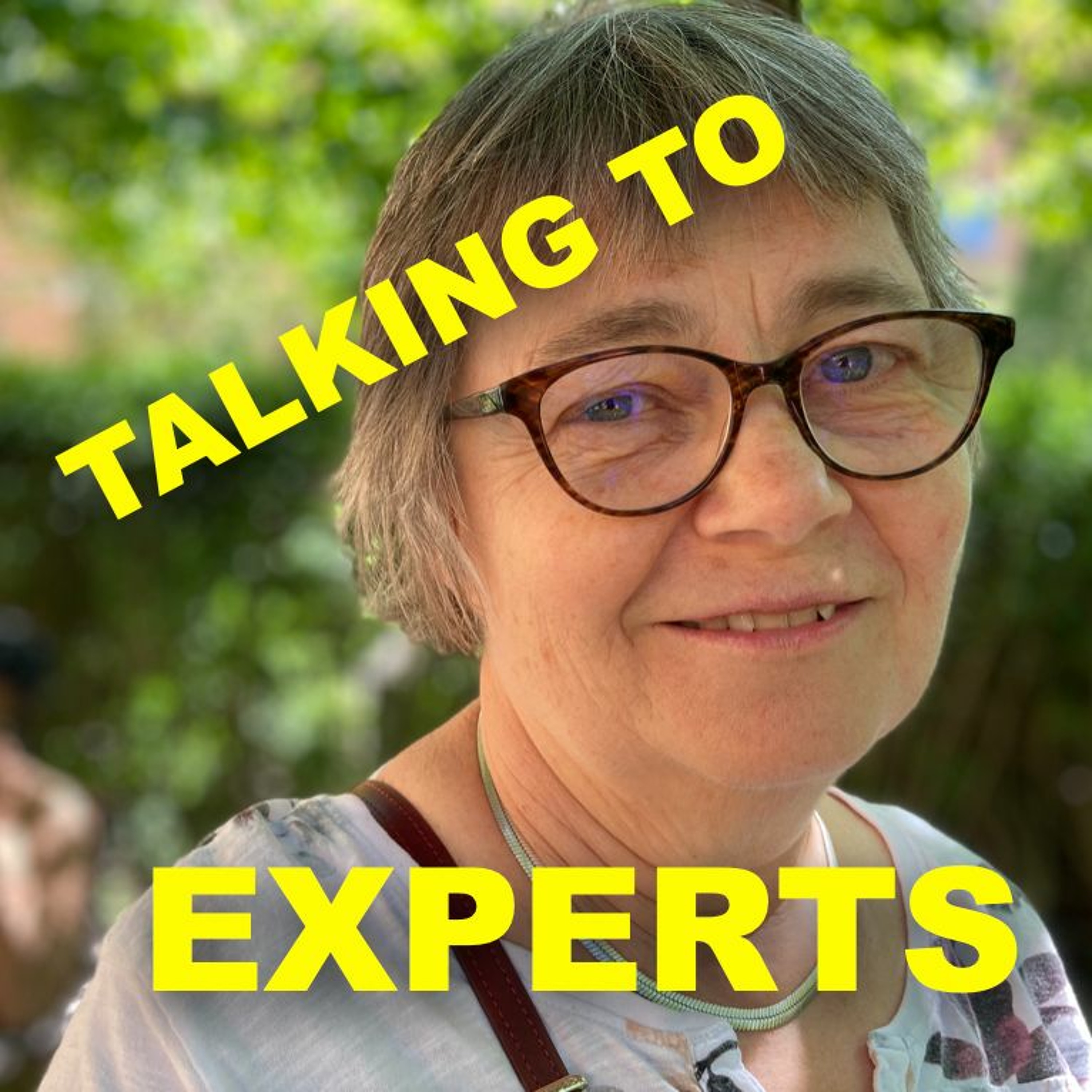 Talking to Experts