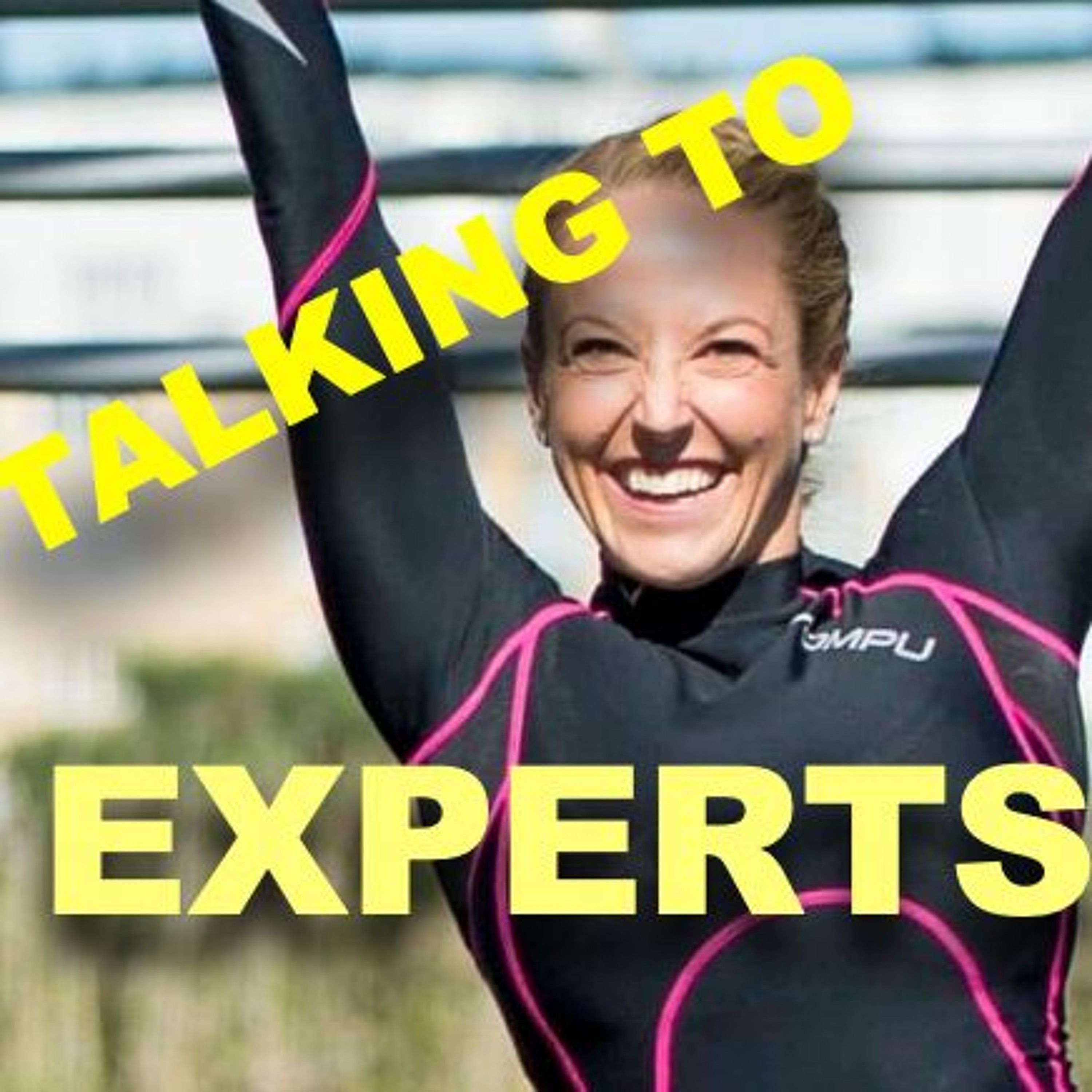 Talking to Experts