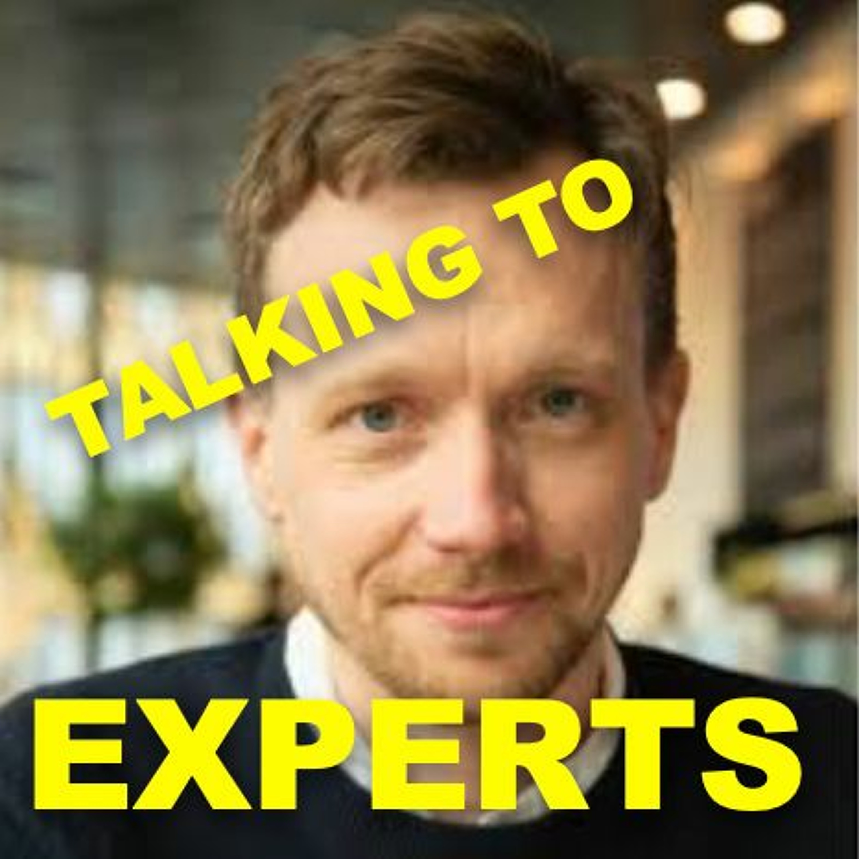 Talking to Experts