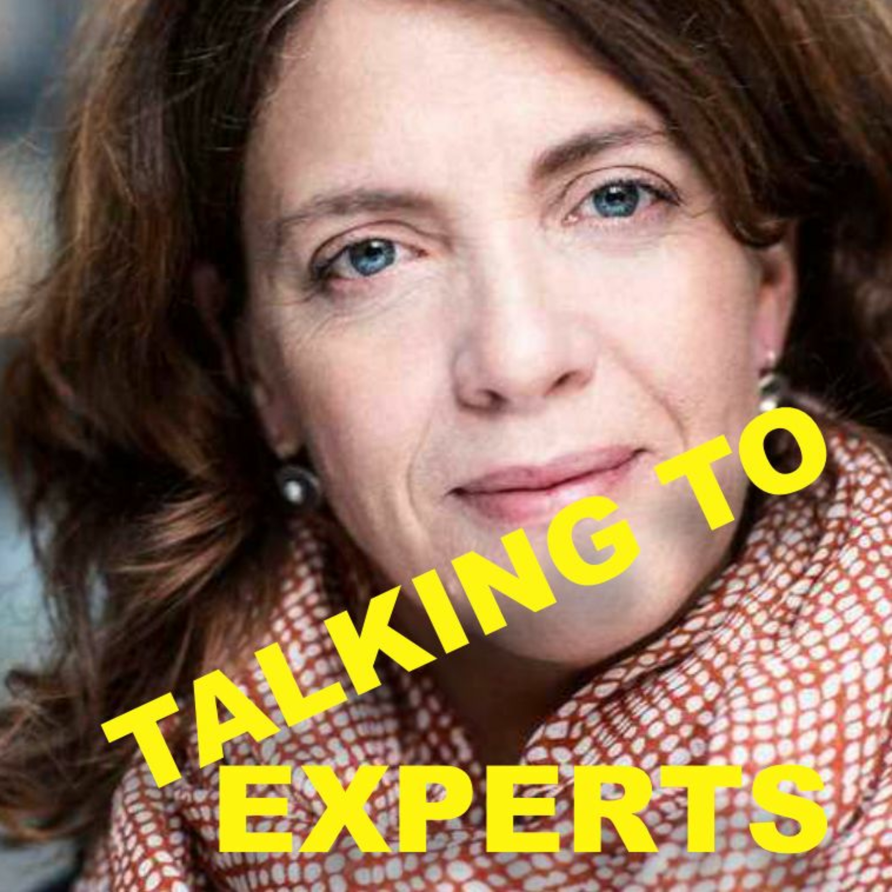 Talking to Experts