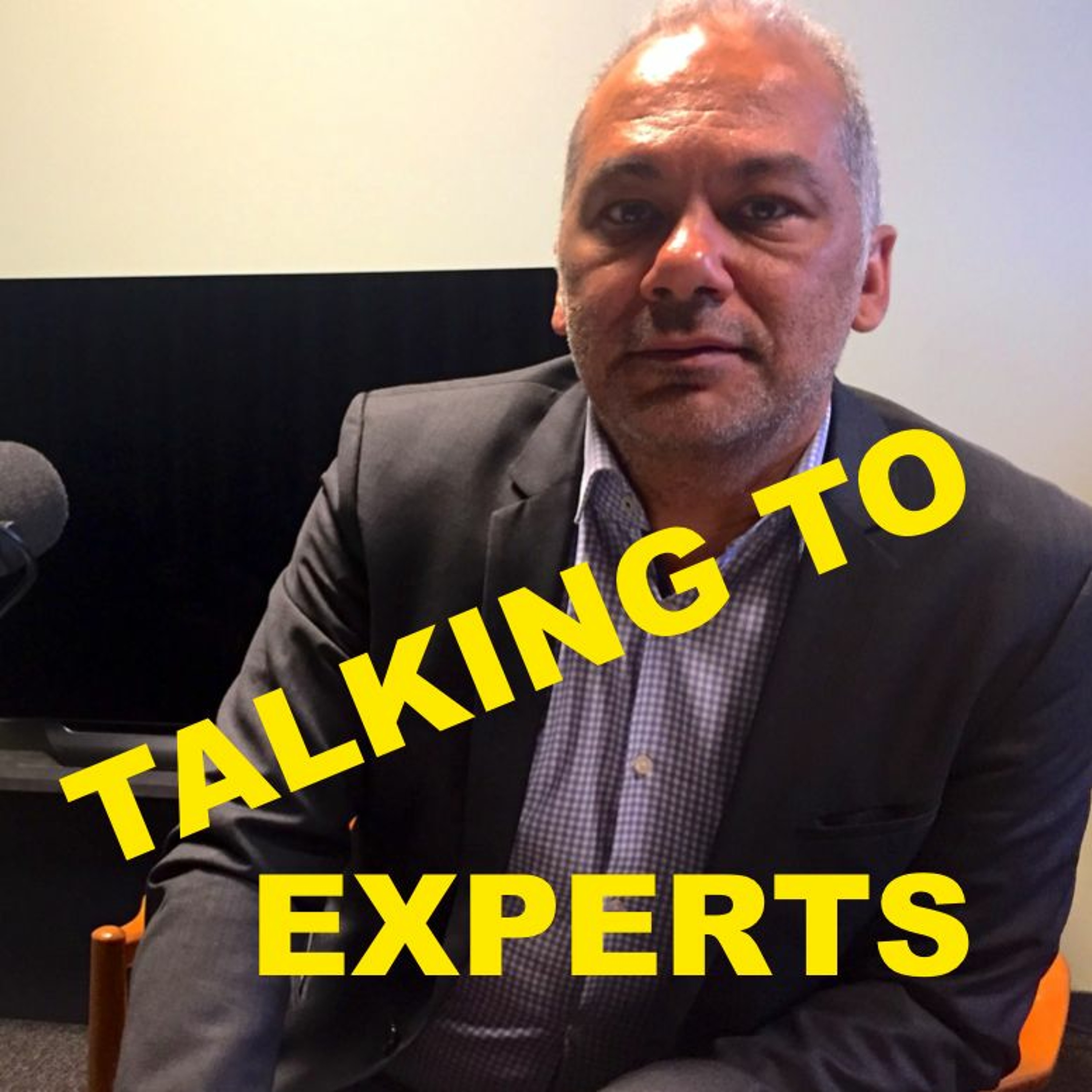 Talking to Experts