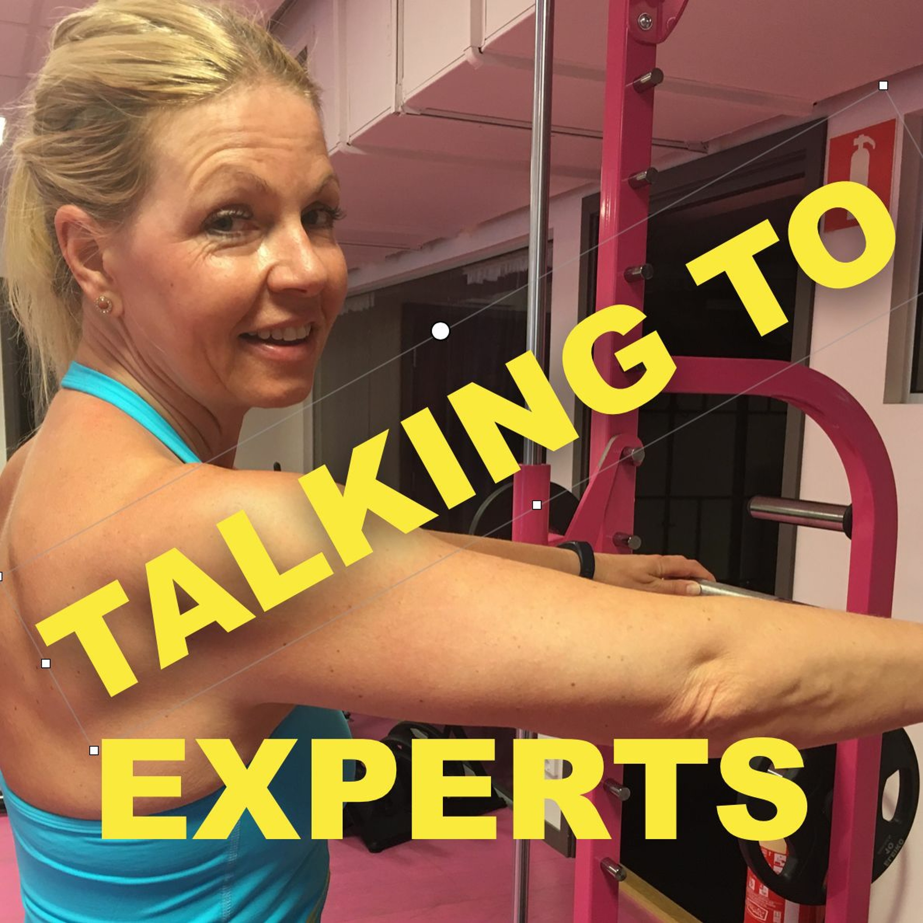 Talking to Experts