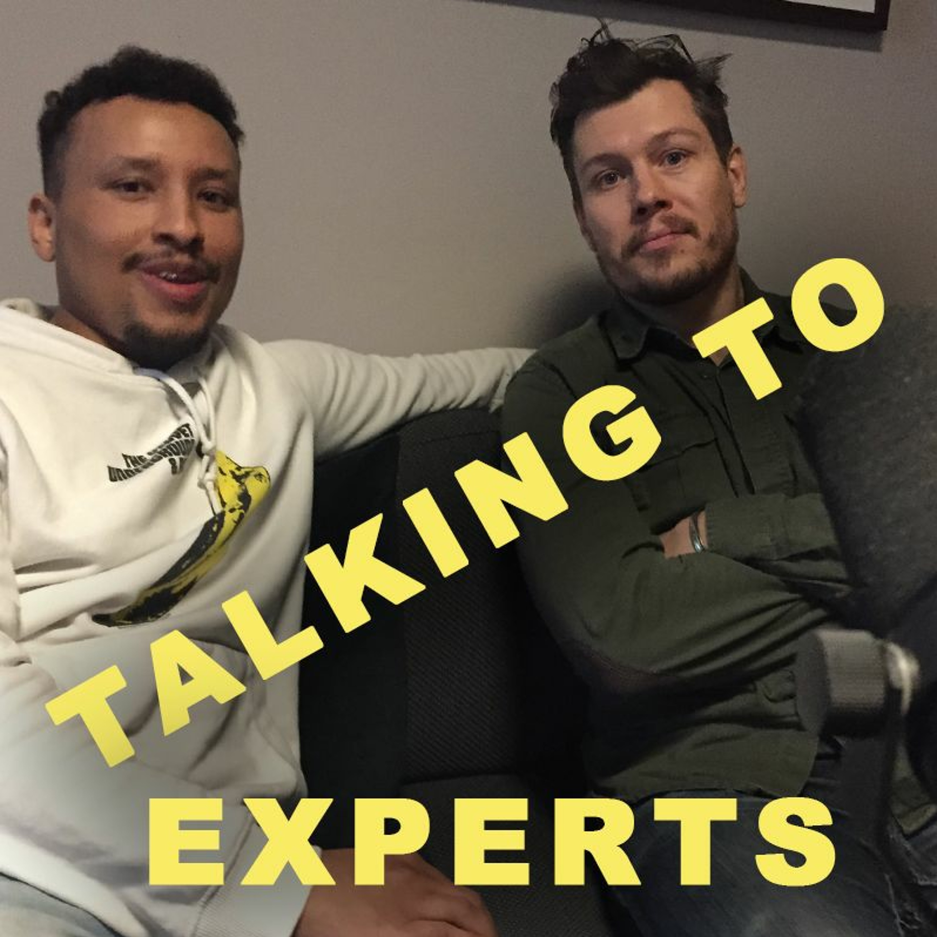 Talking to Experts