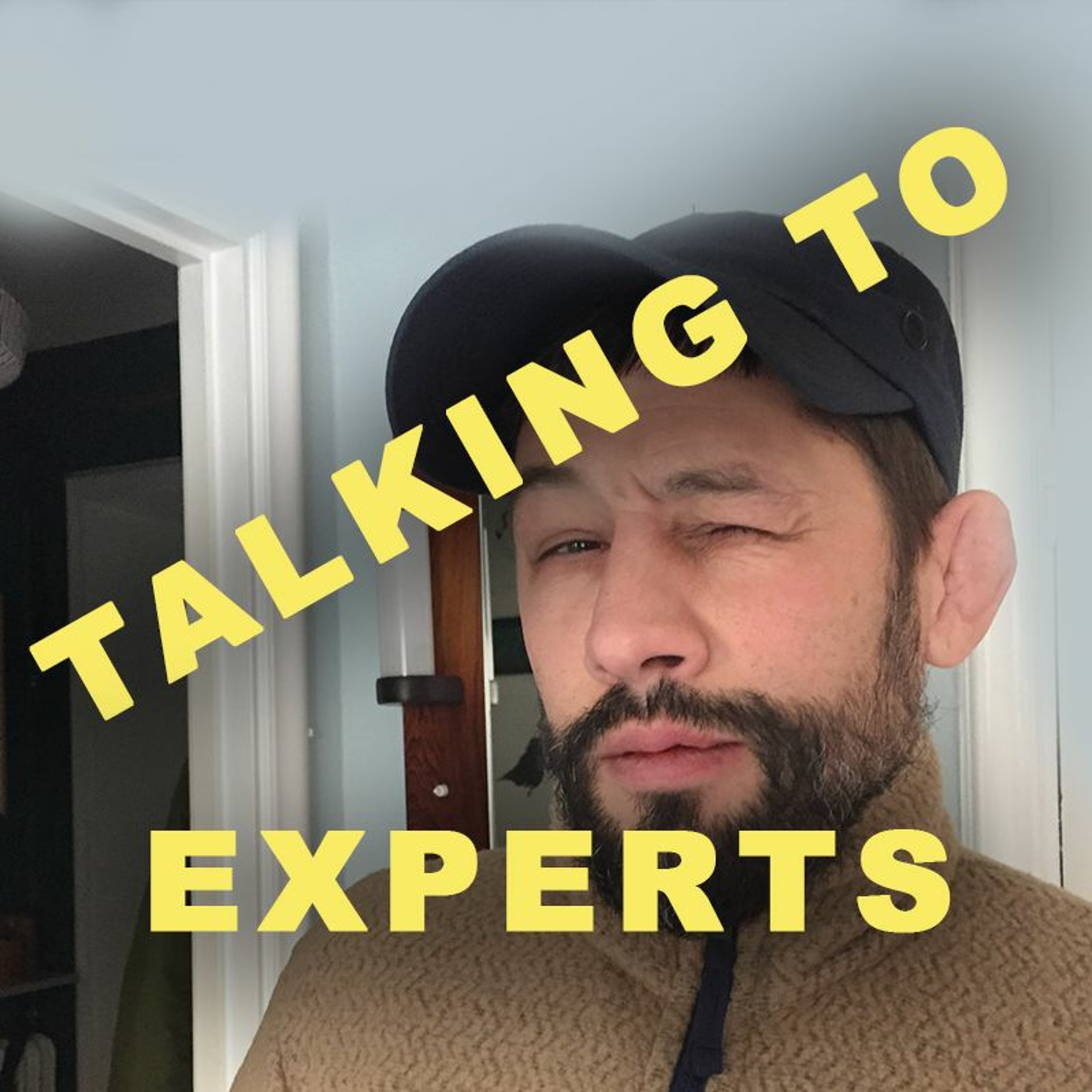 Talking to Experts