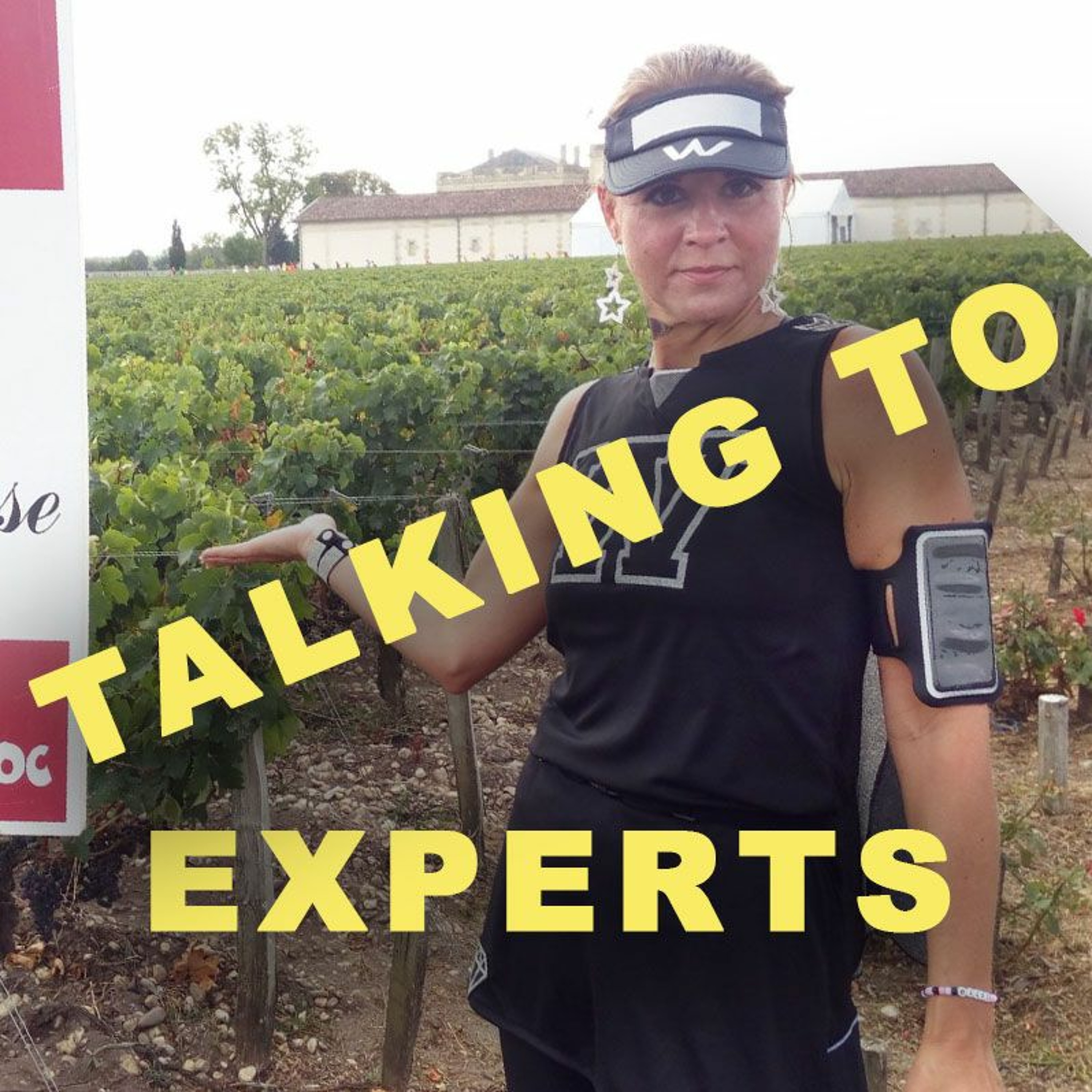 Talking to Experts