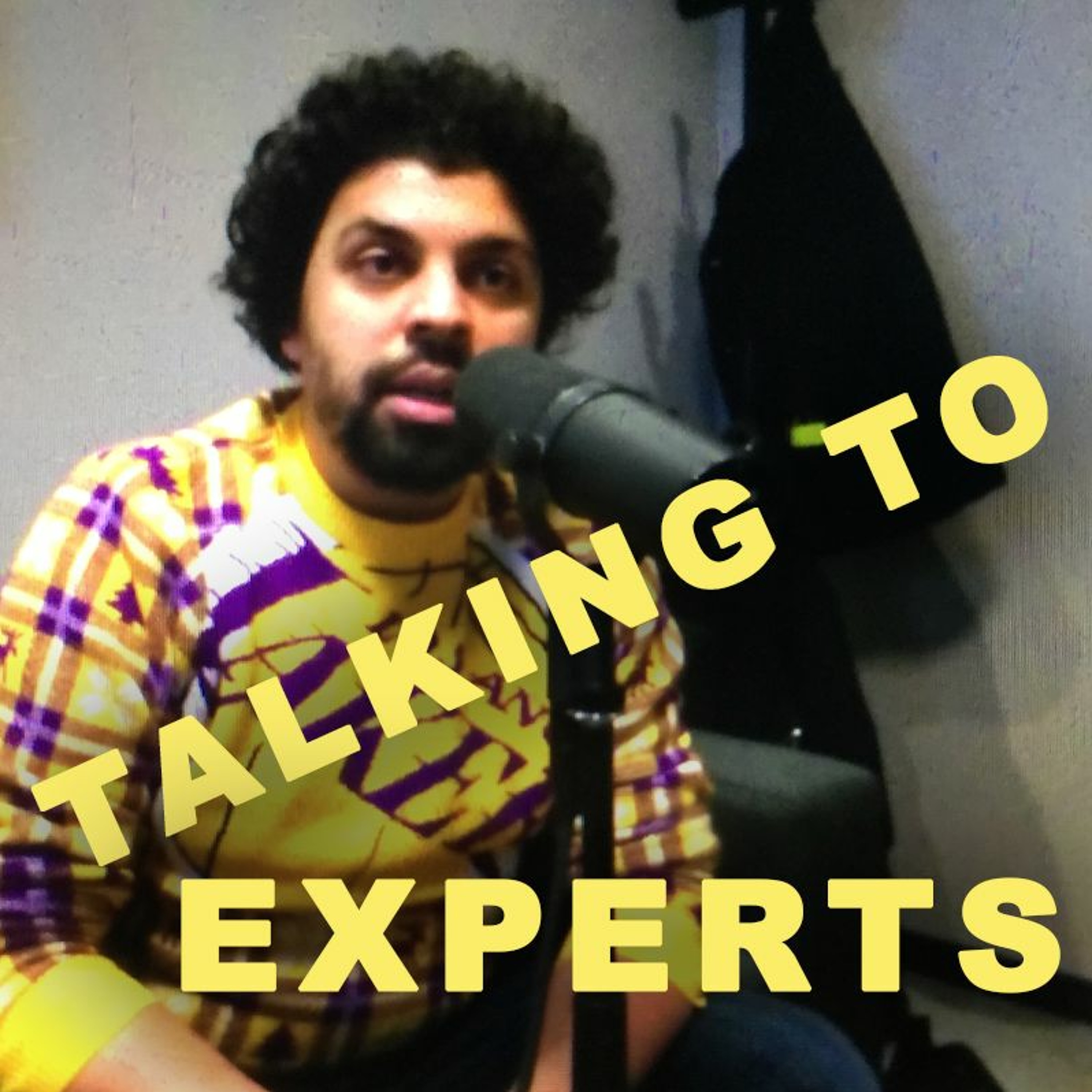 Talking to Experts