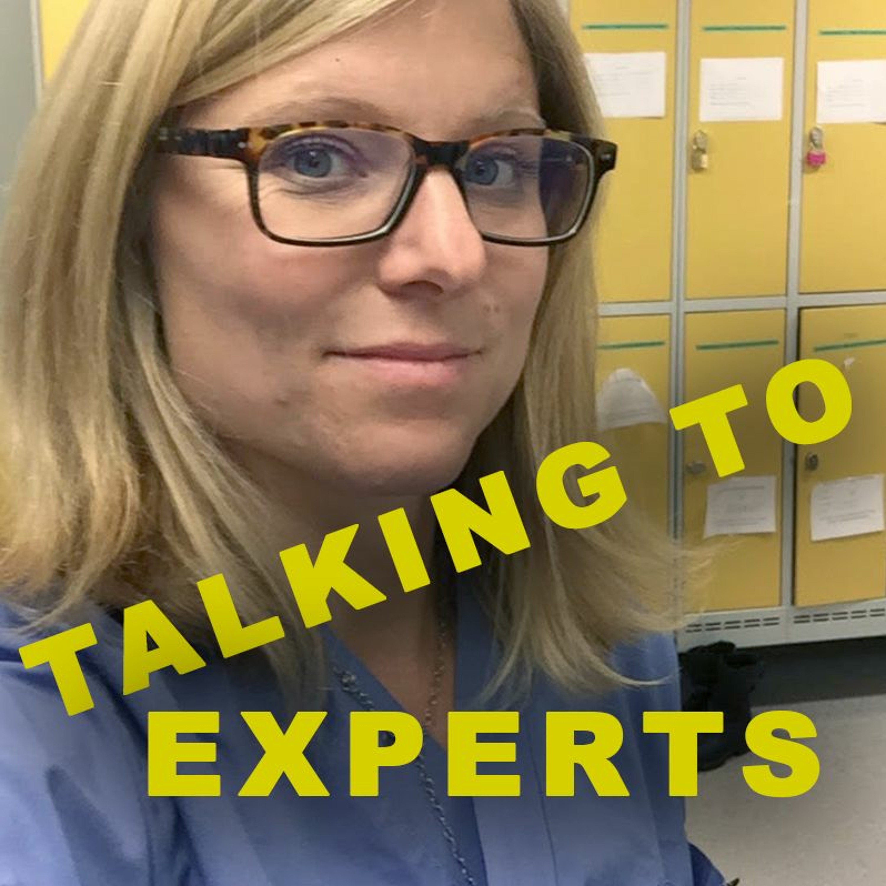 Talking to Experts