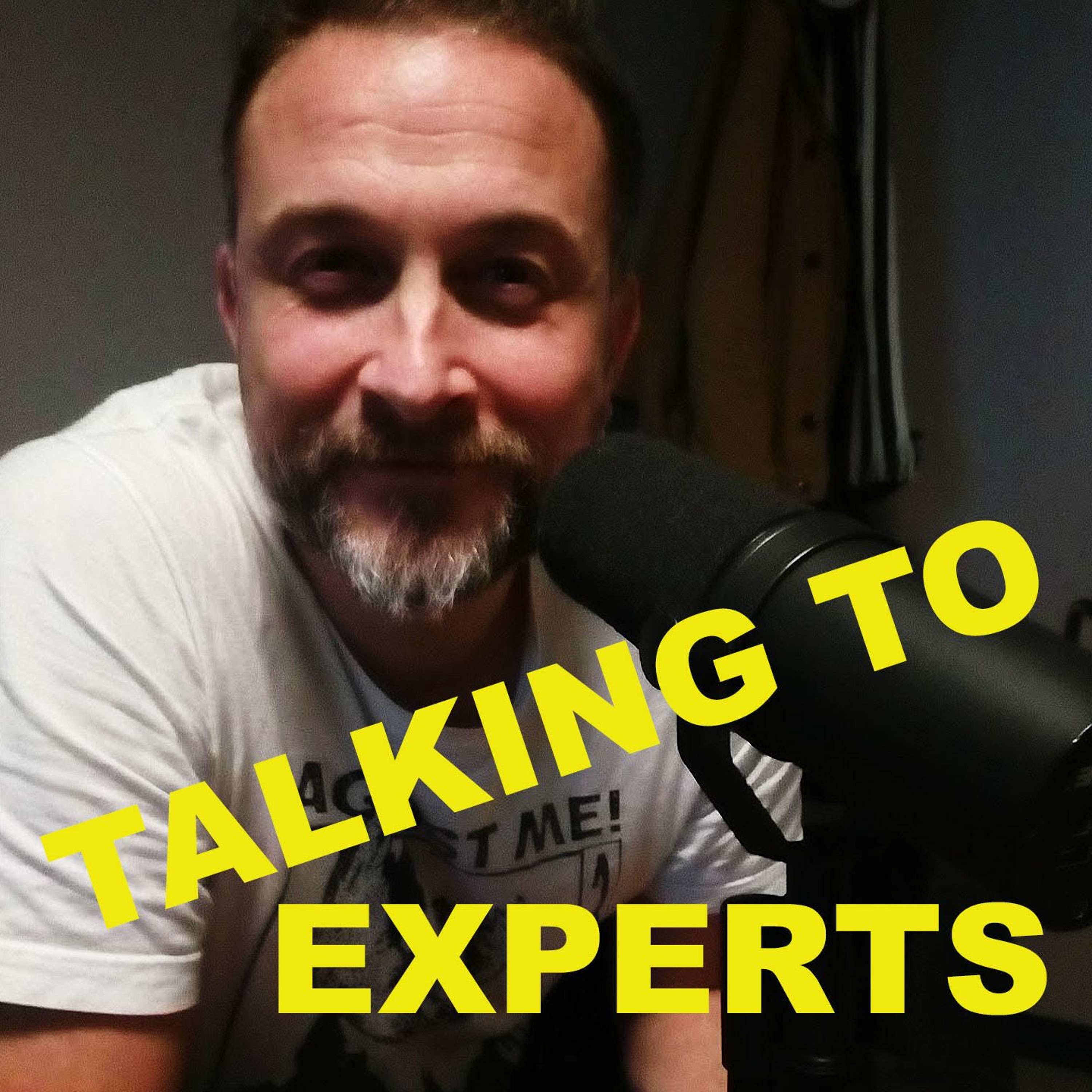 Talking to Experts