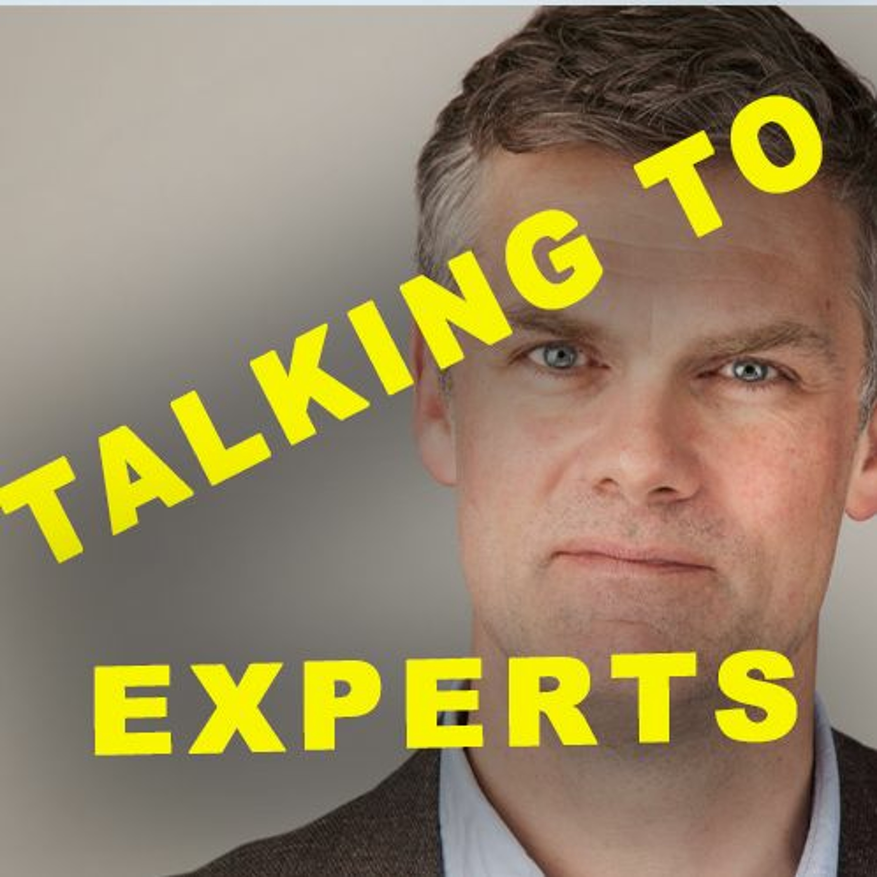 Talking to Experts