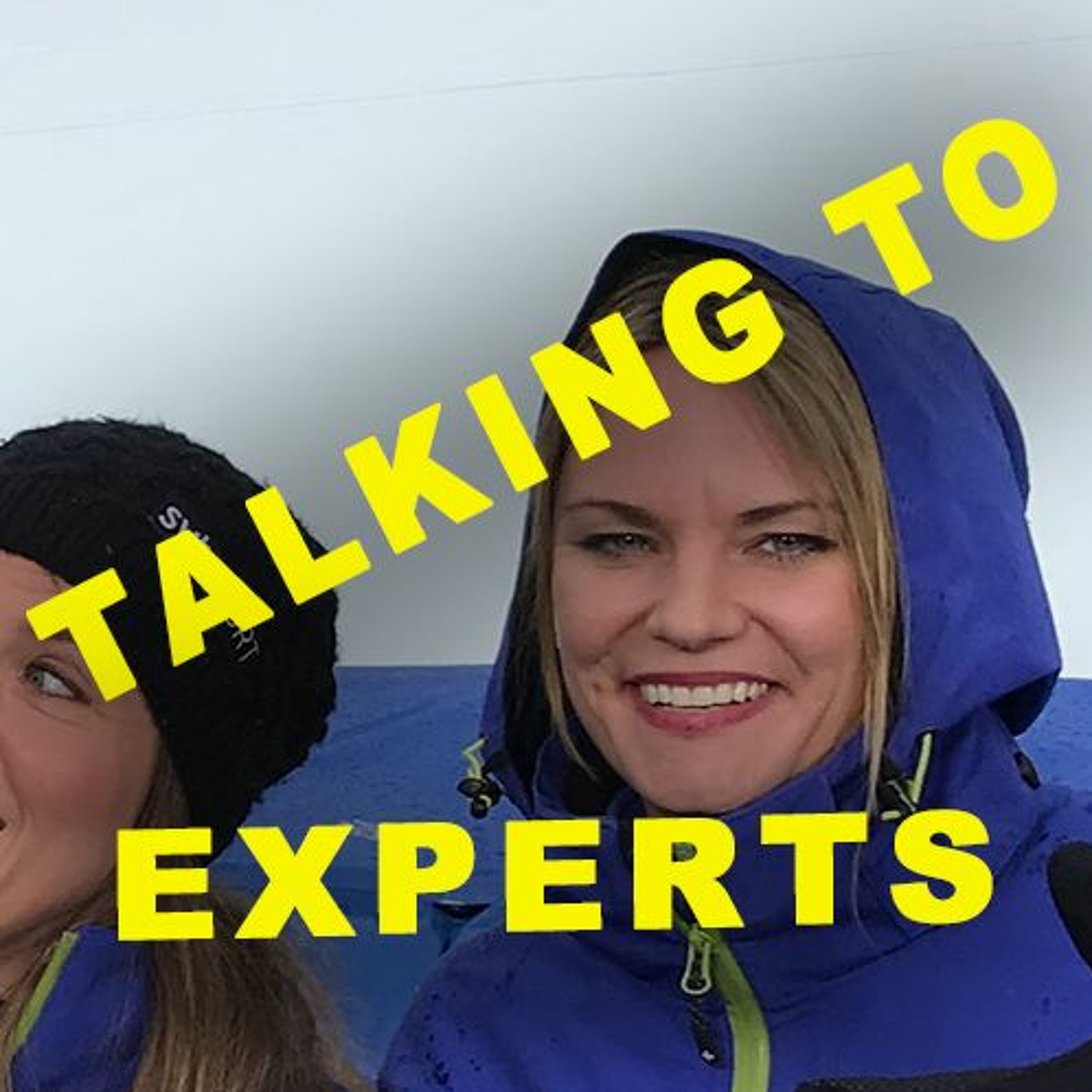 Talking to Experts