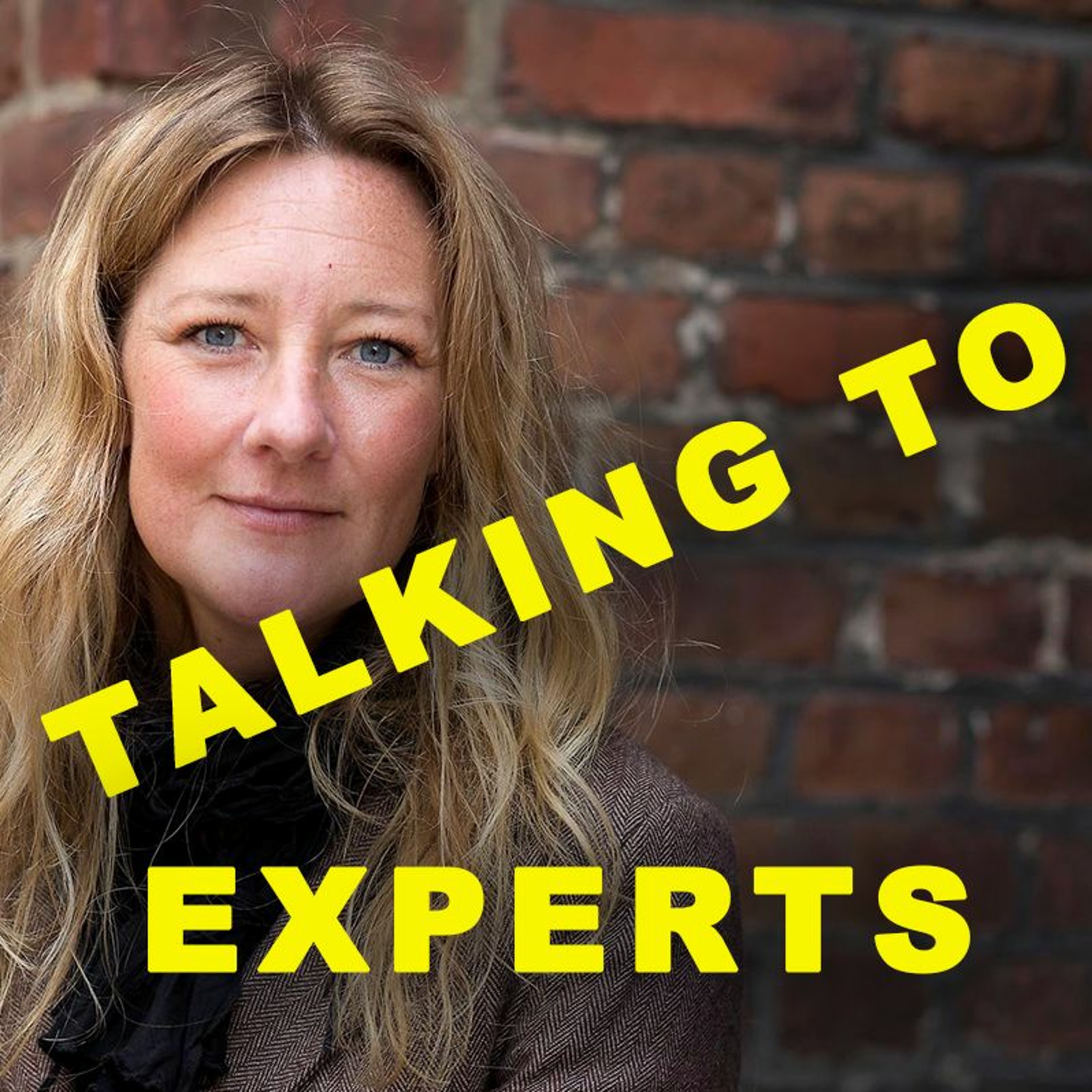 Talking to Experts