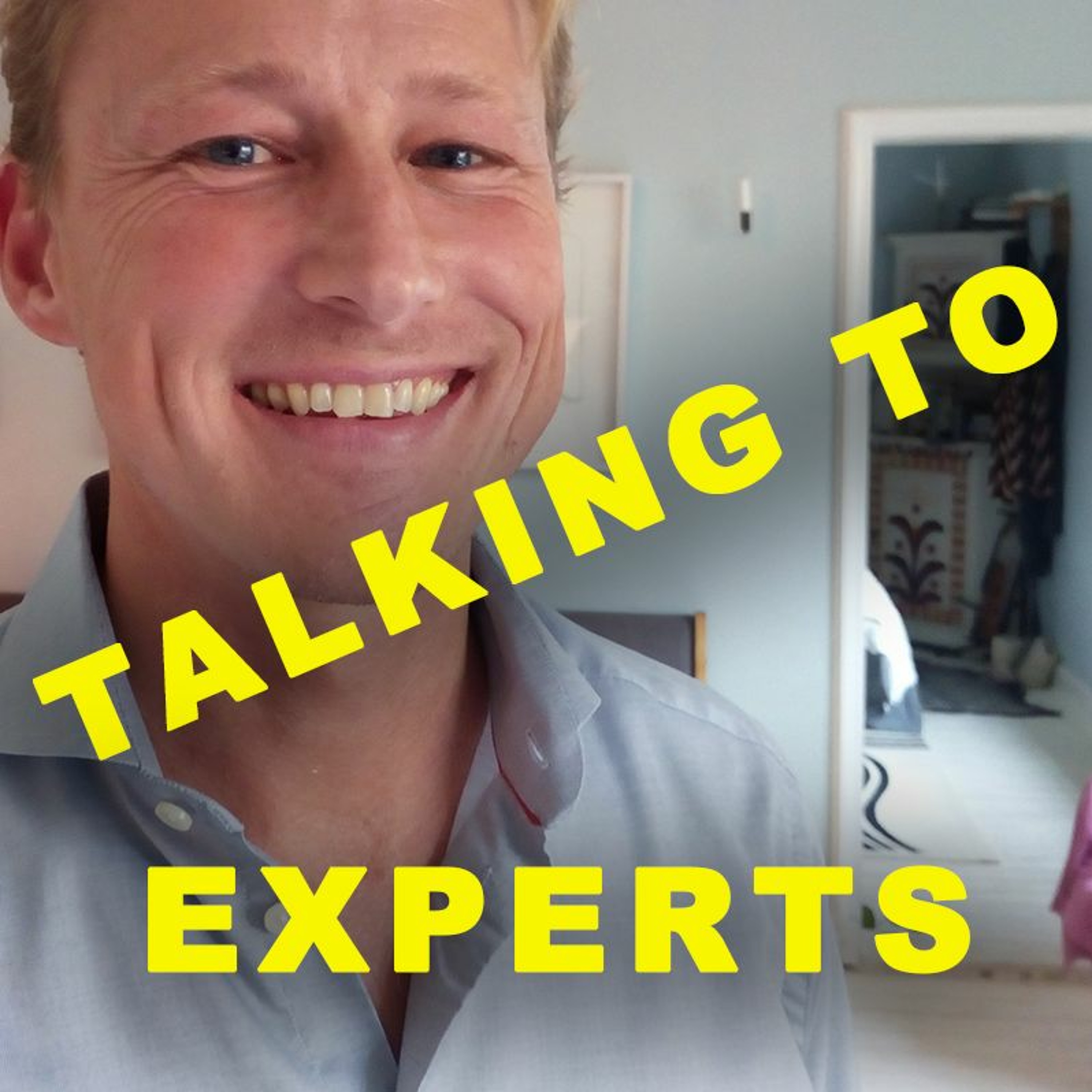 Talking to Experts