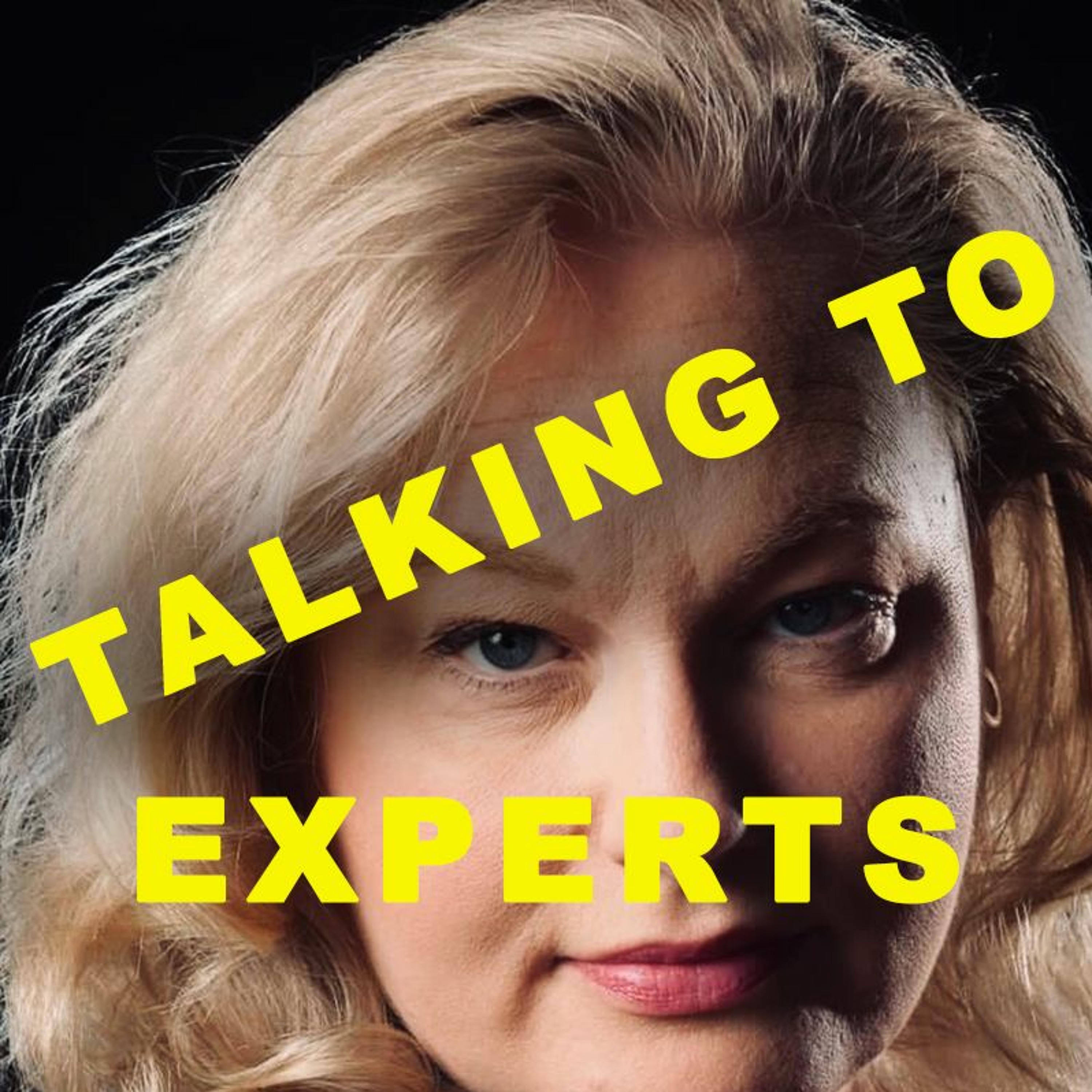 Talking to Experts