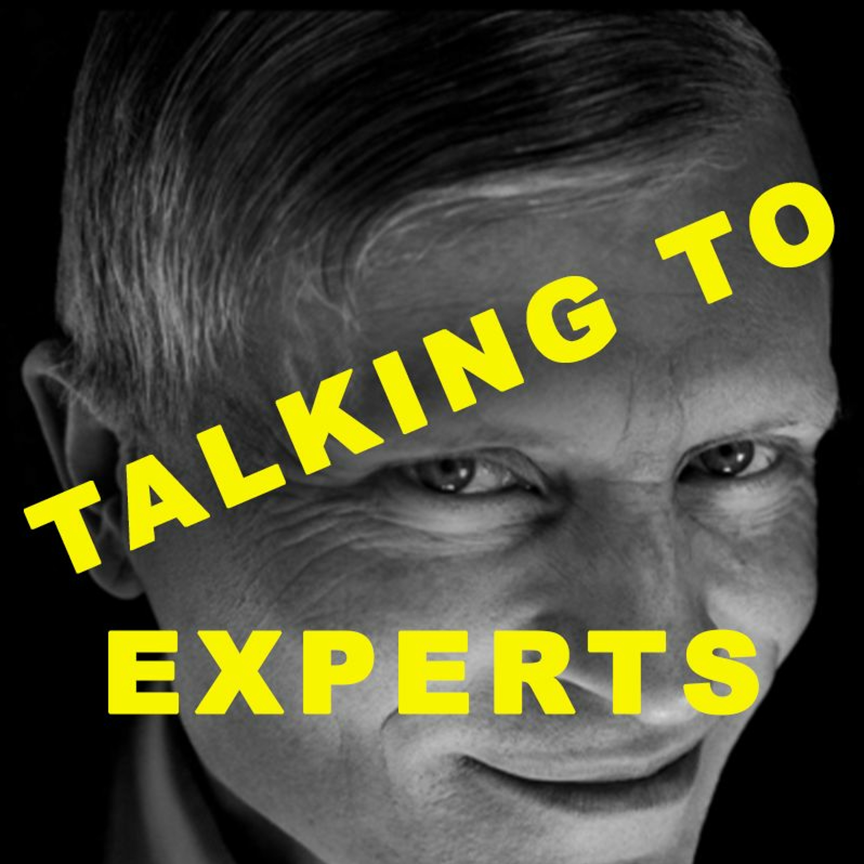 Talking to Experts