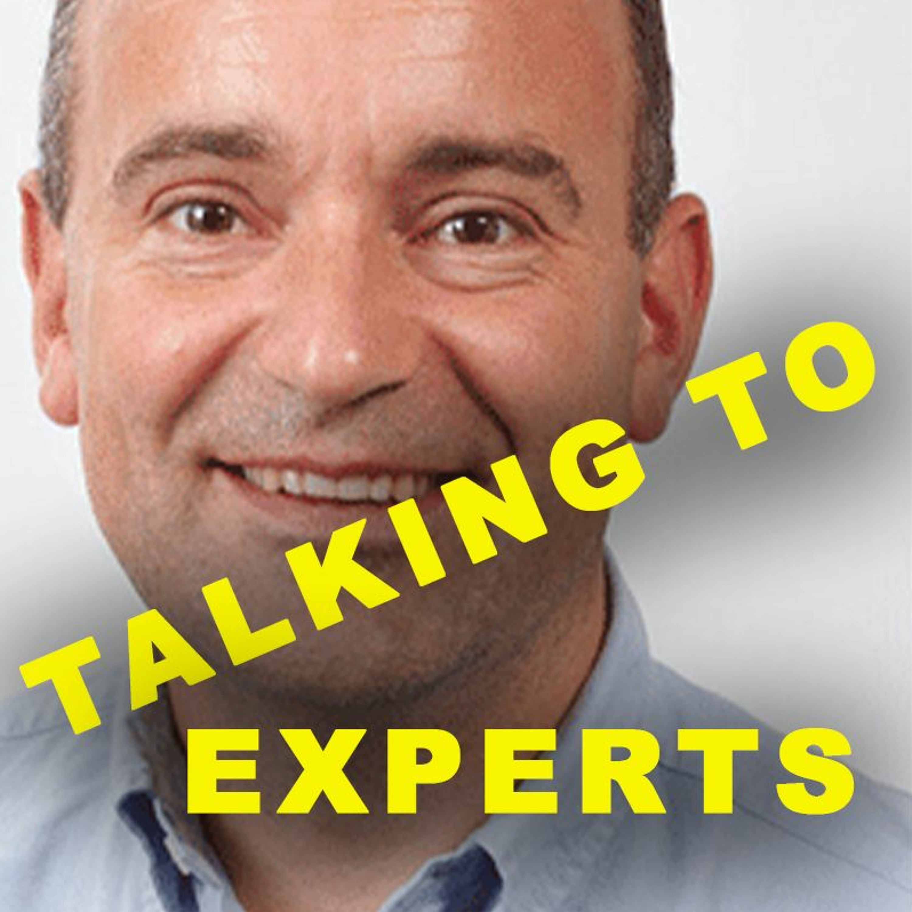 Talking to Experts