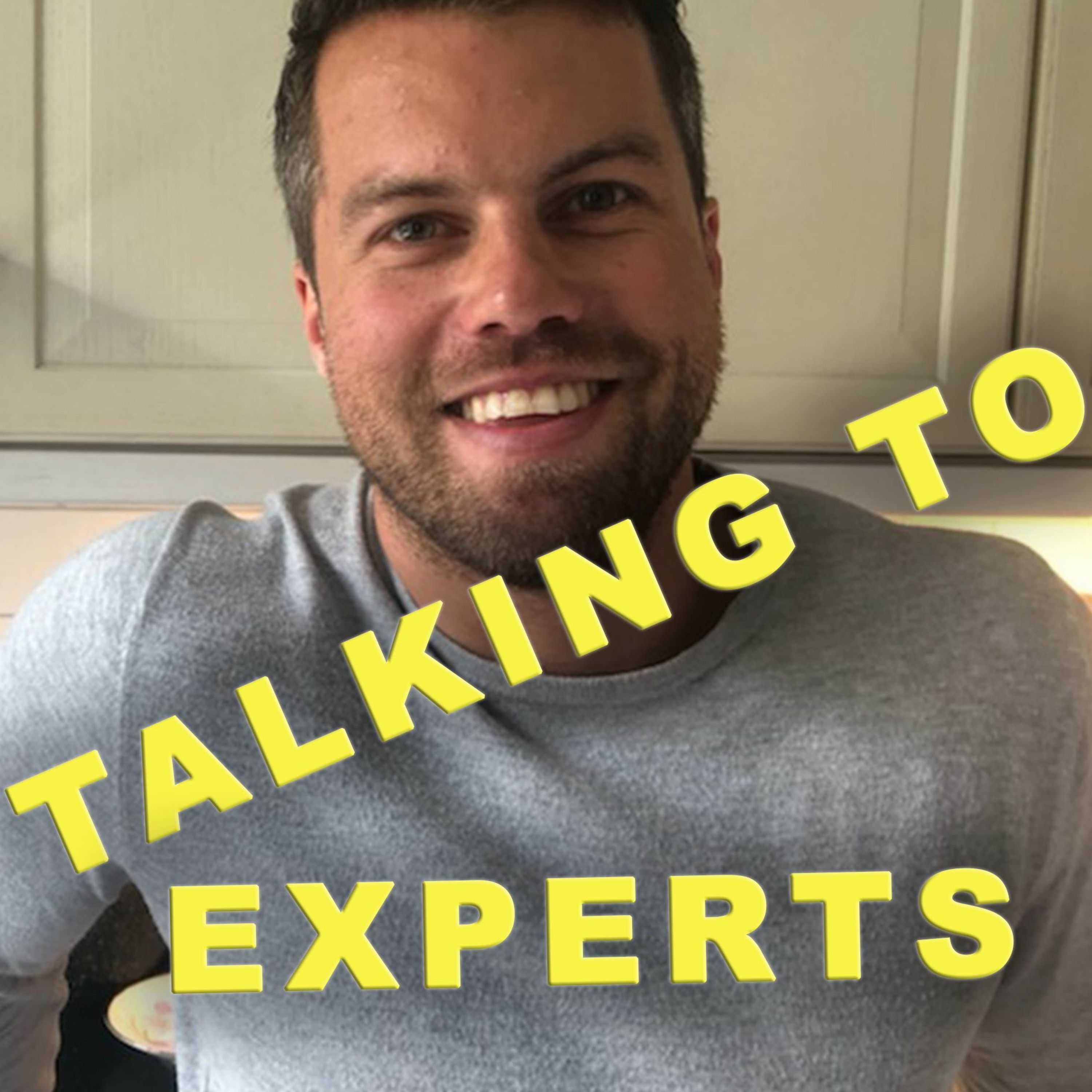 Talking to Experts