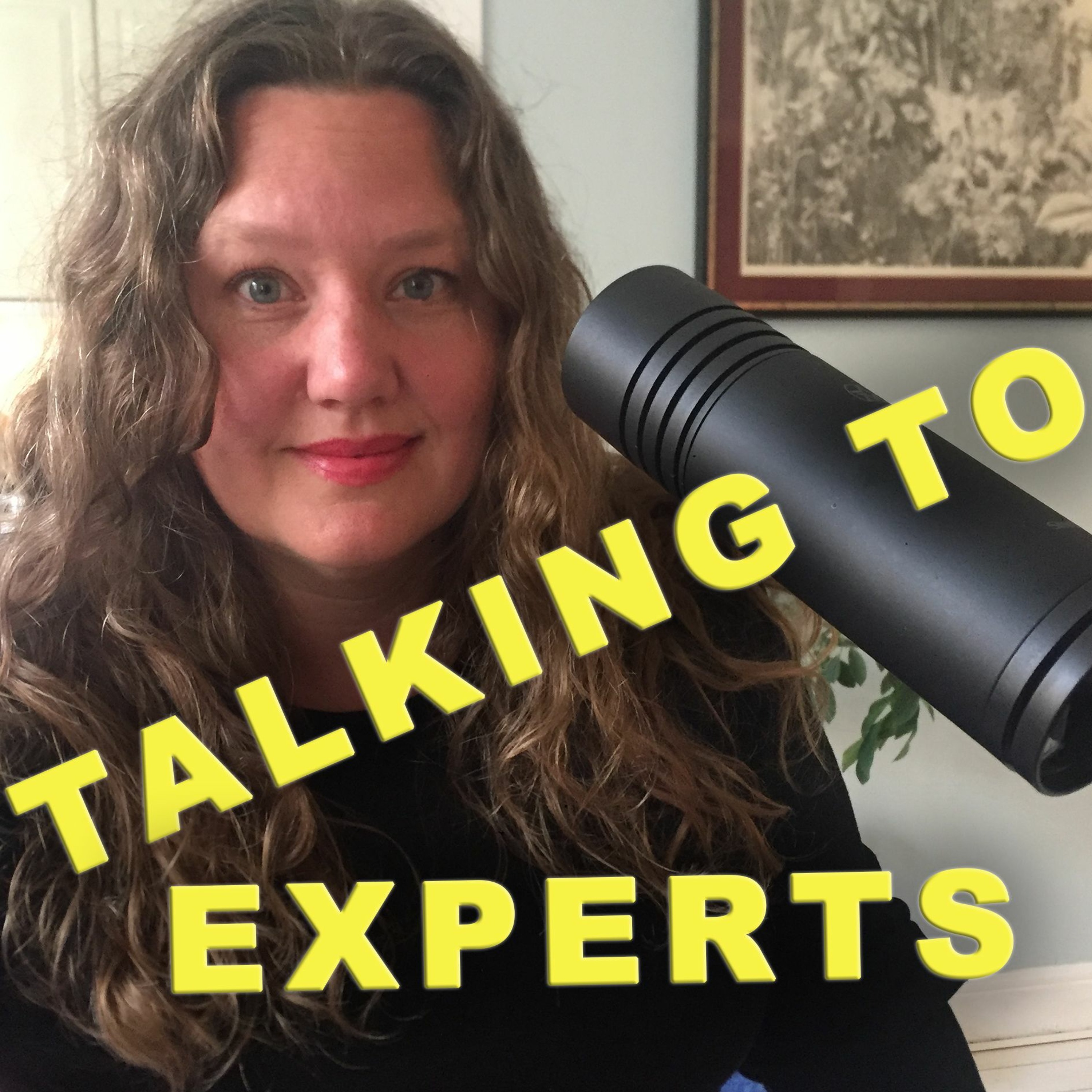 Talking to Experts