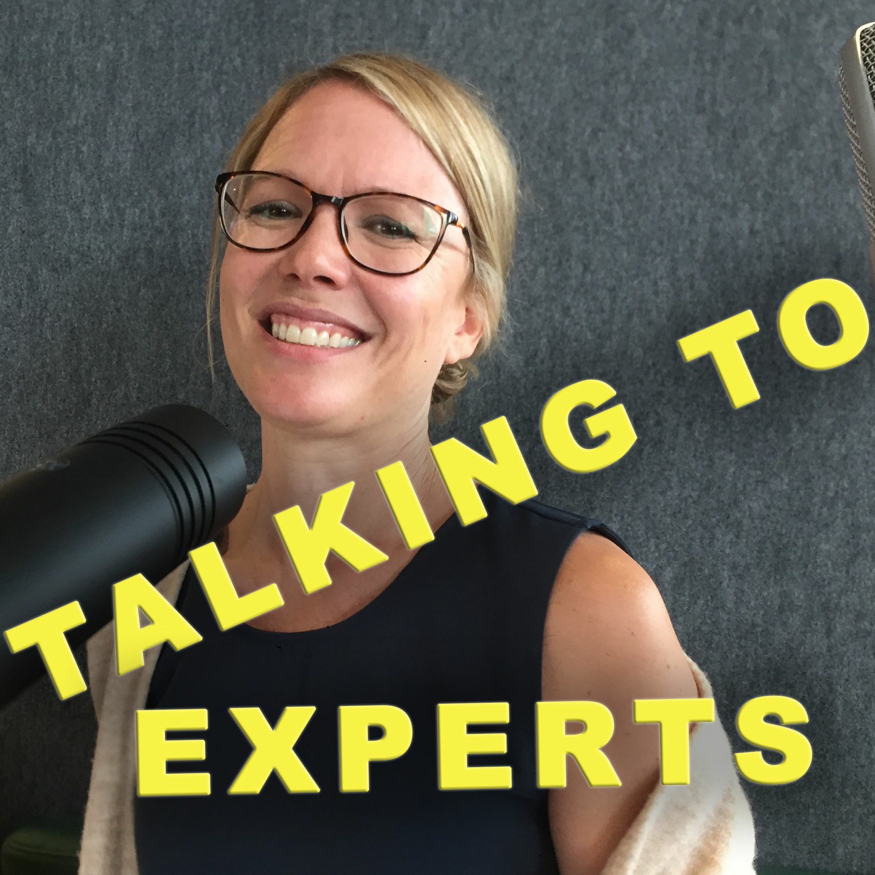 Talking to Experts