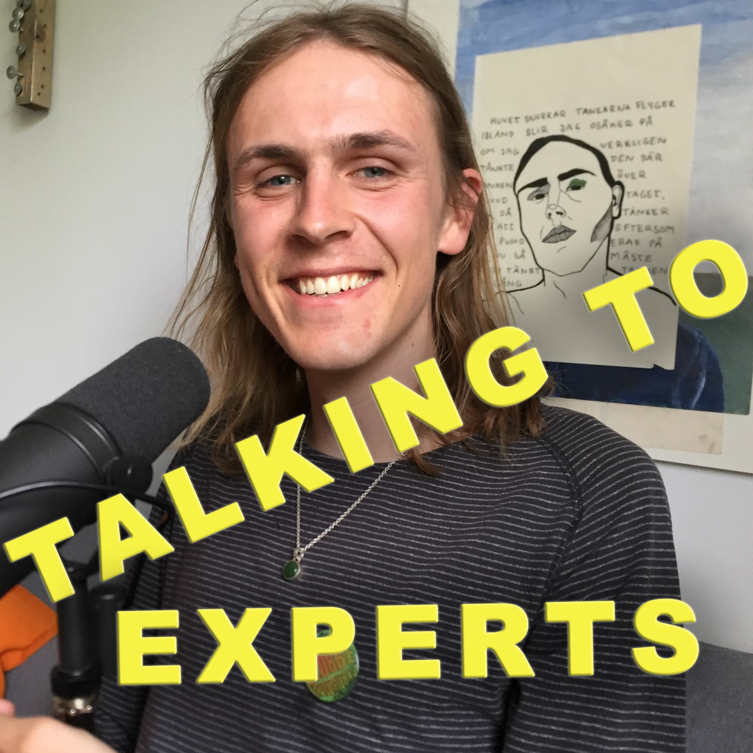 Talking to Experts
