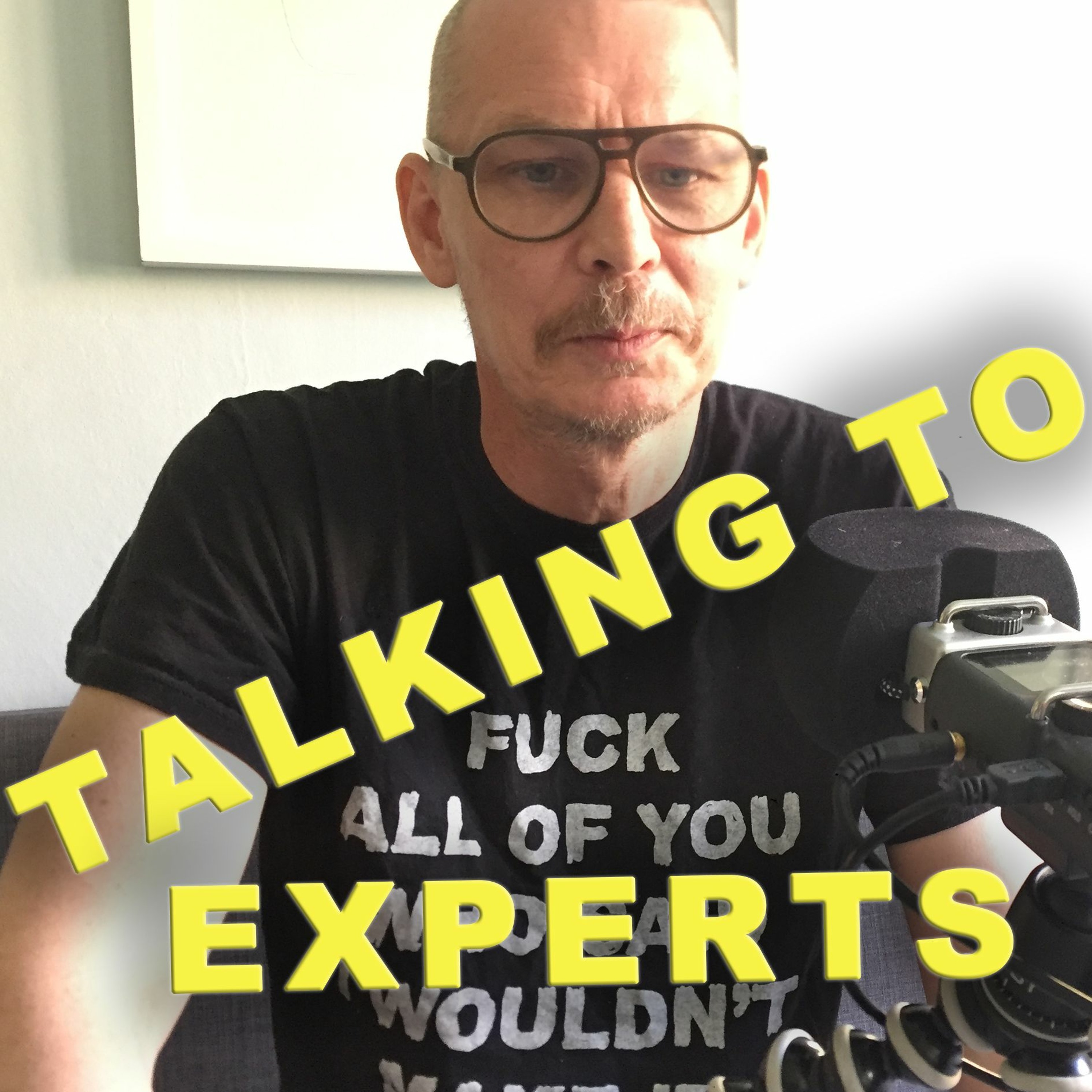Talking to Experts