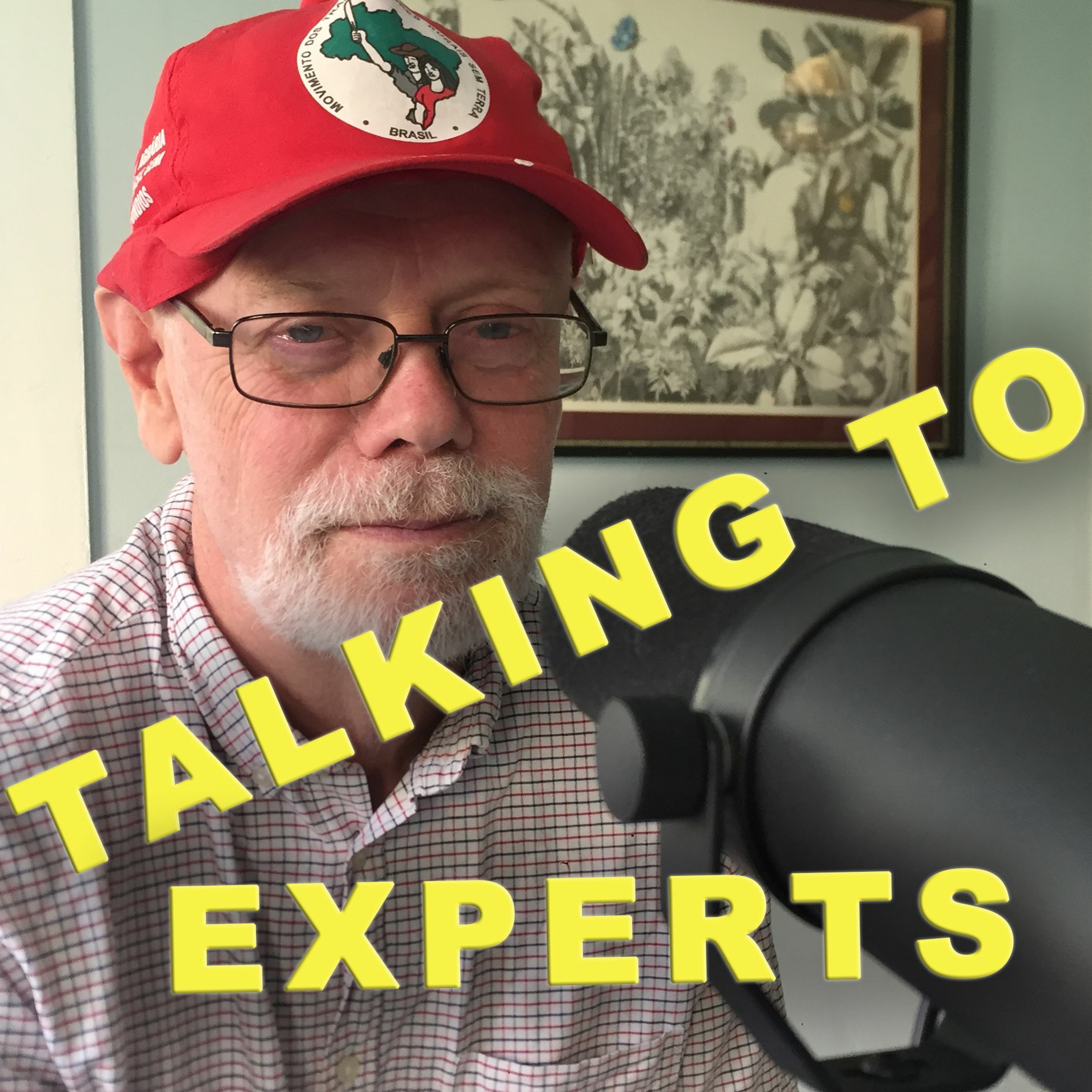 Talking to Experts