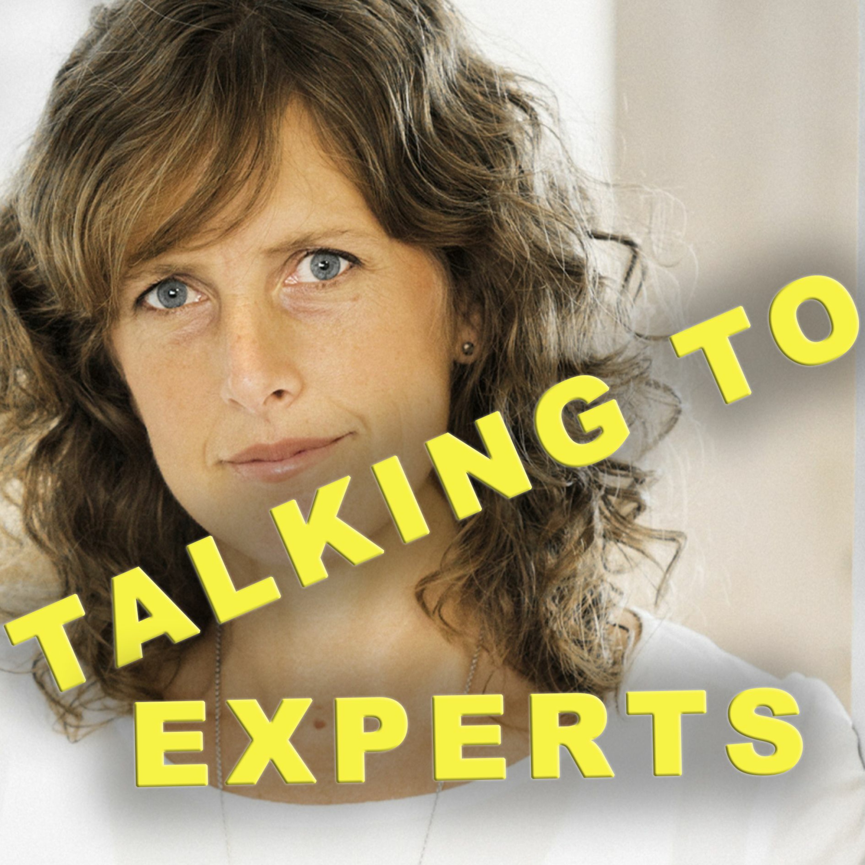 Talking to Experts