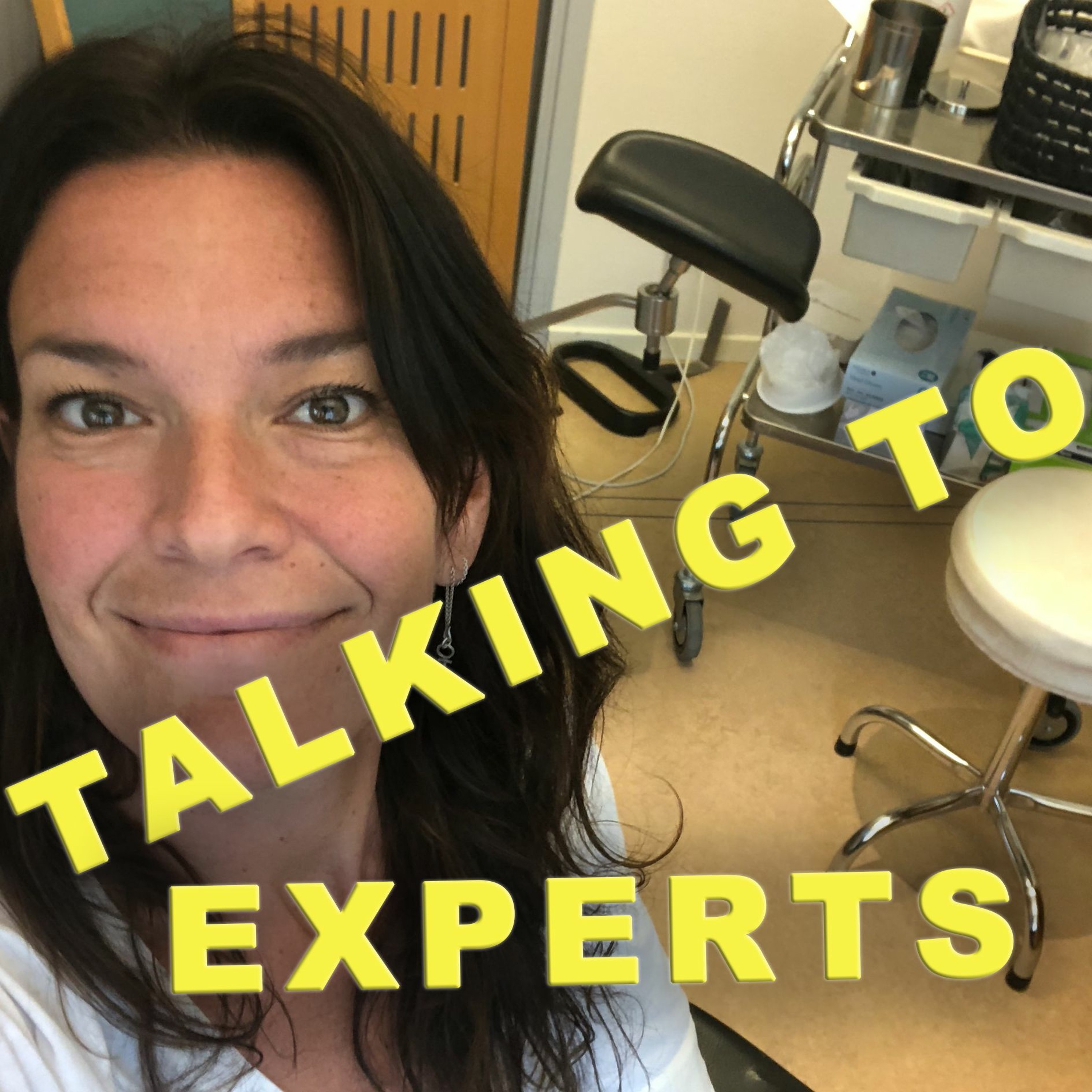 Talking to Experts