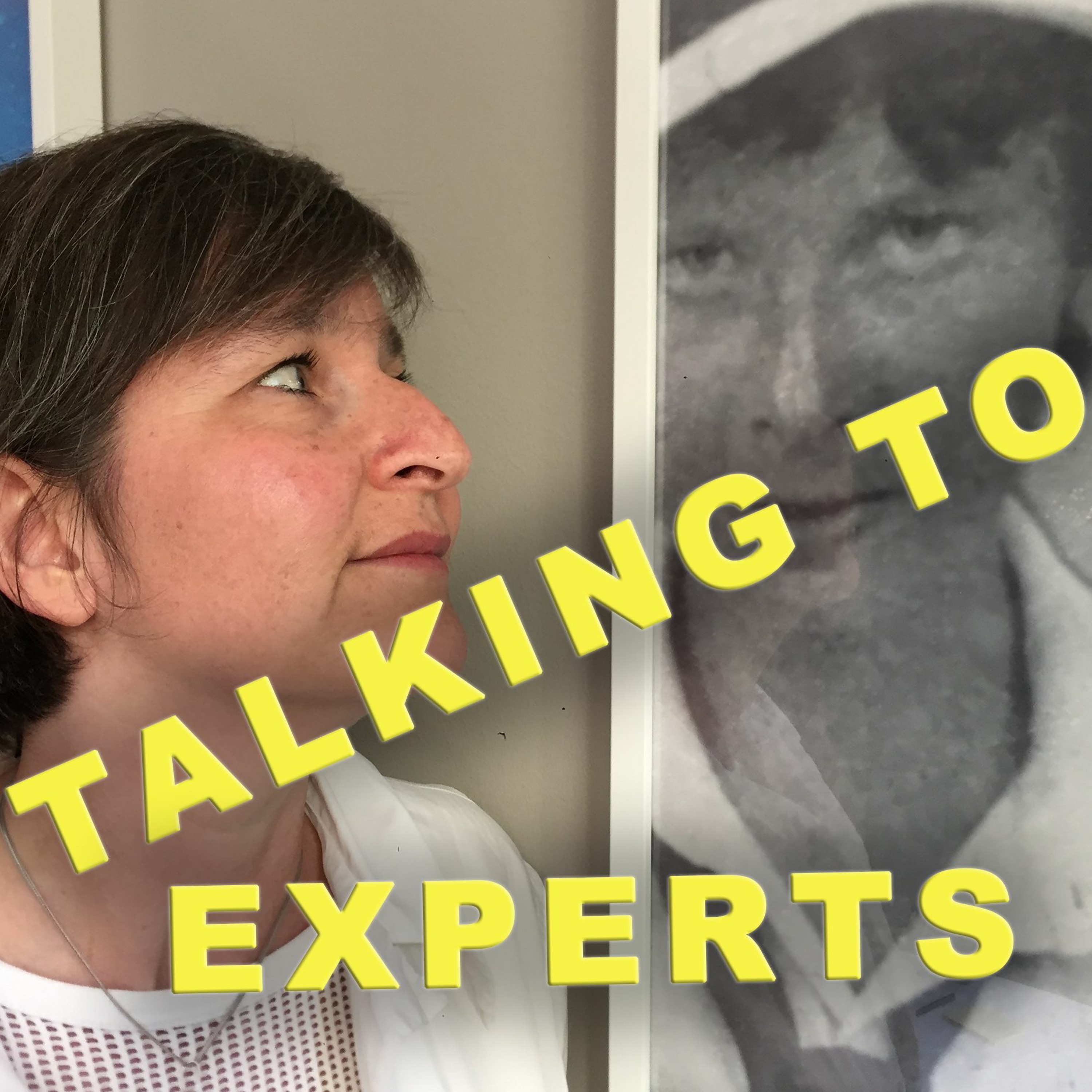 Talking to Experts