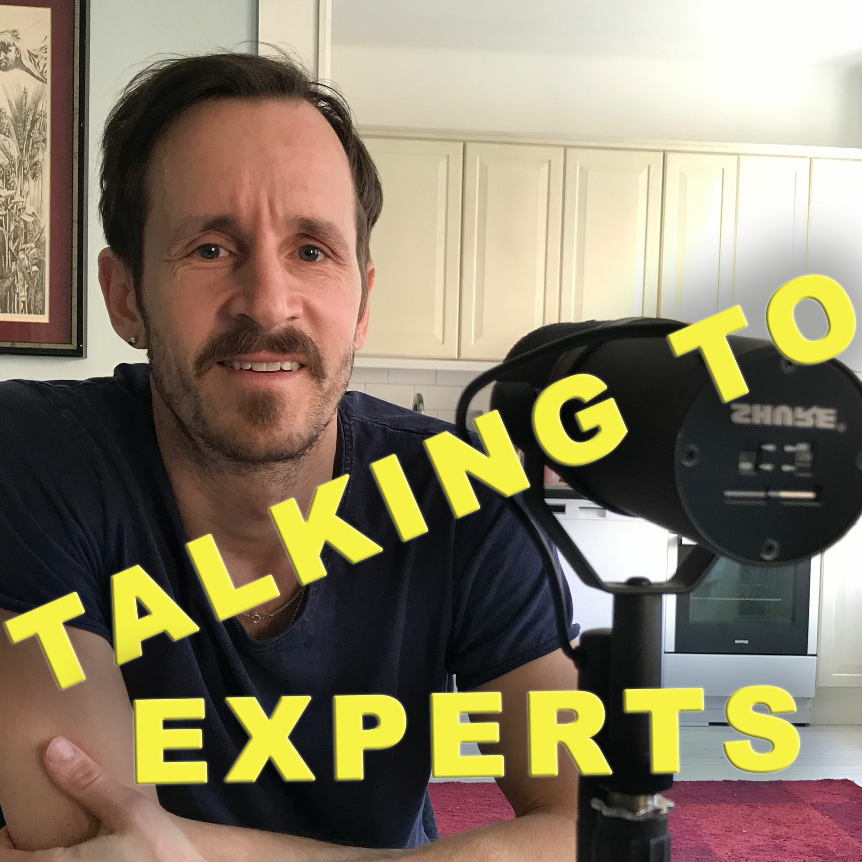 Talking to Experts