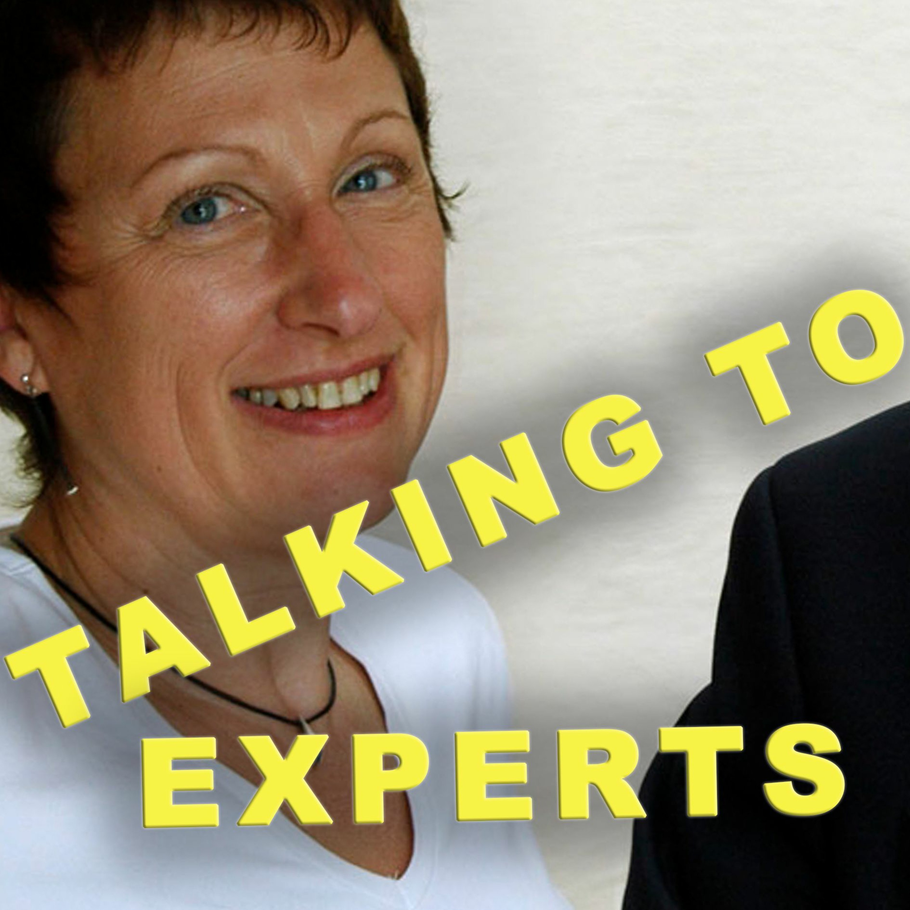 Talking to Experts