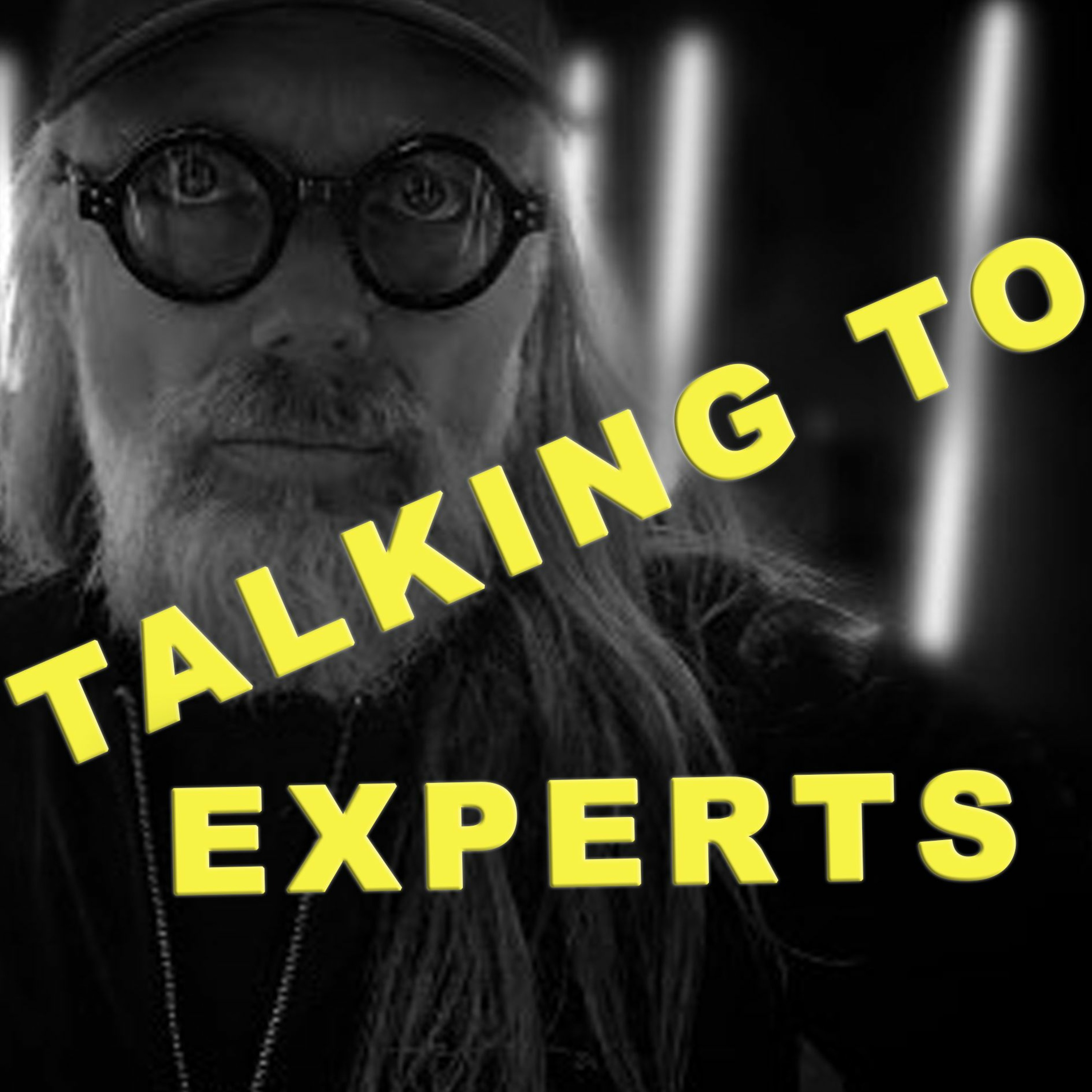 Talking to Experts