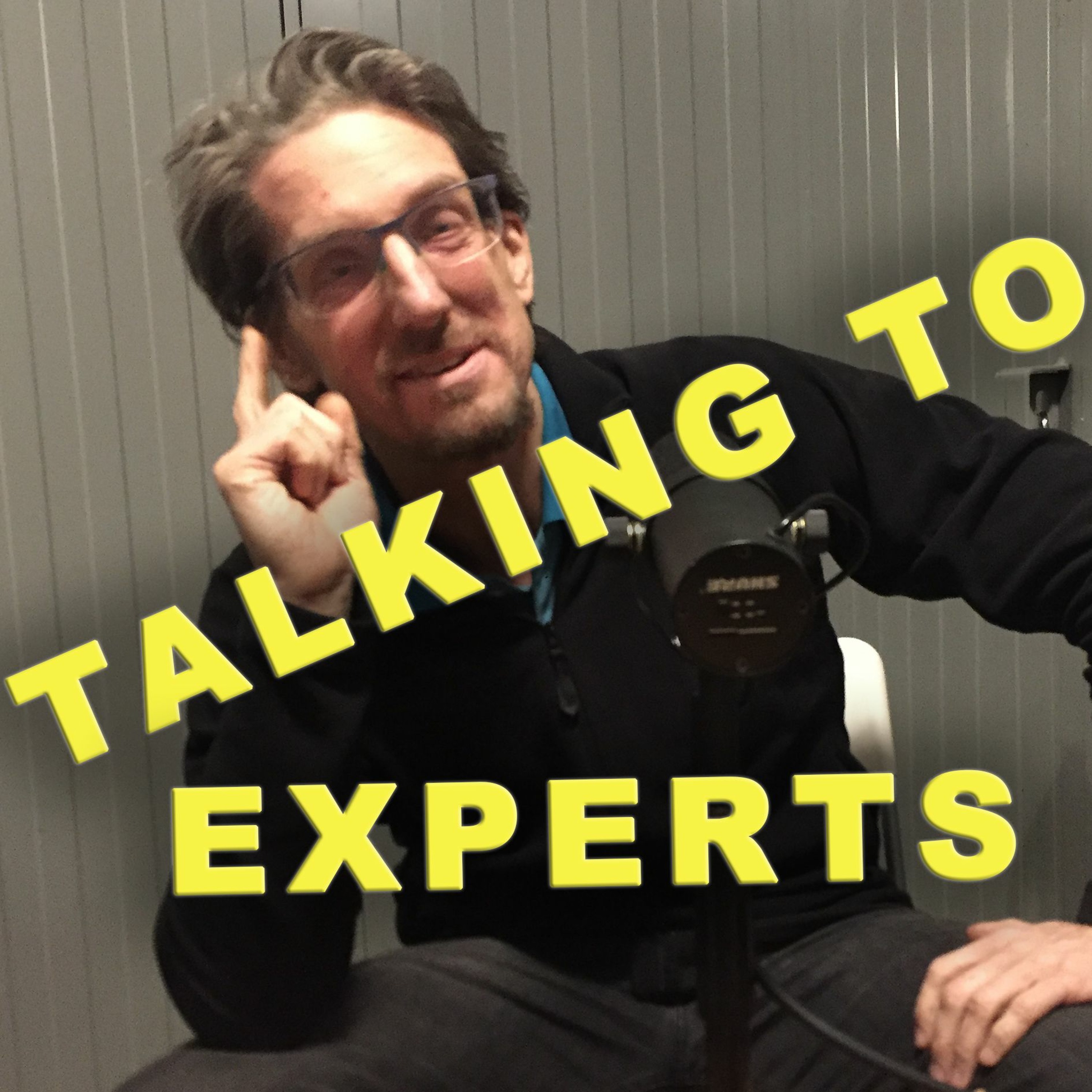 Talking to Experts